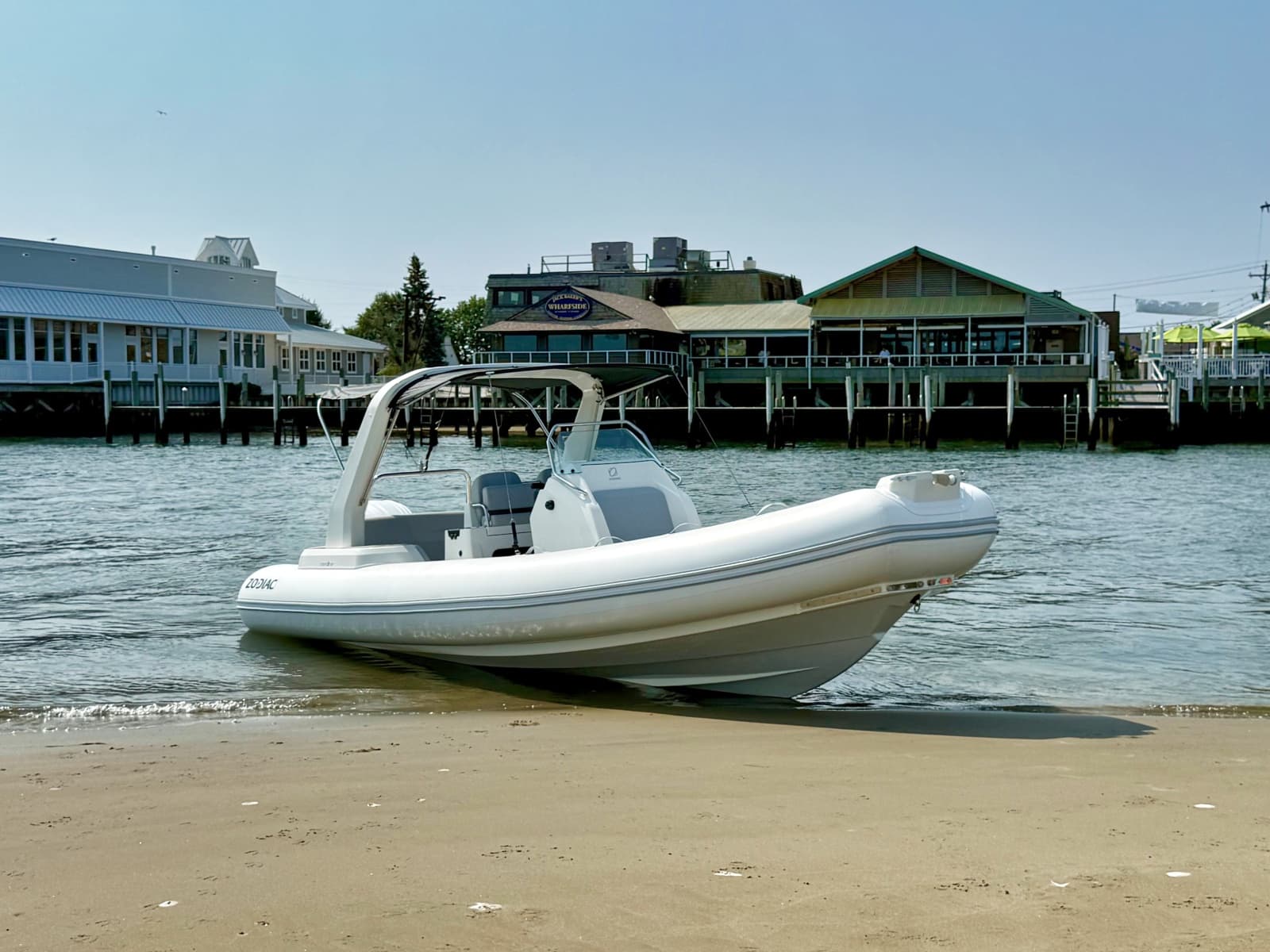 2026 Zodiac  - Photo 4