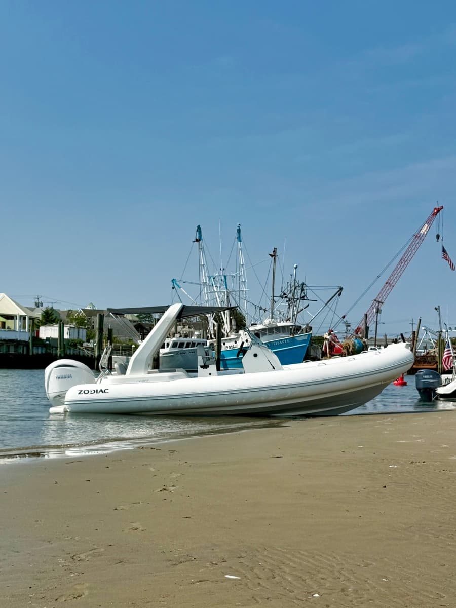 2026 Zodiac  - Photo 8