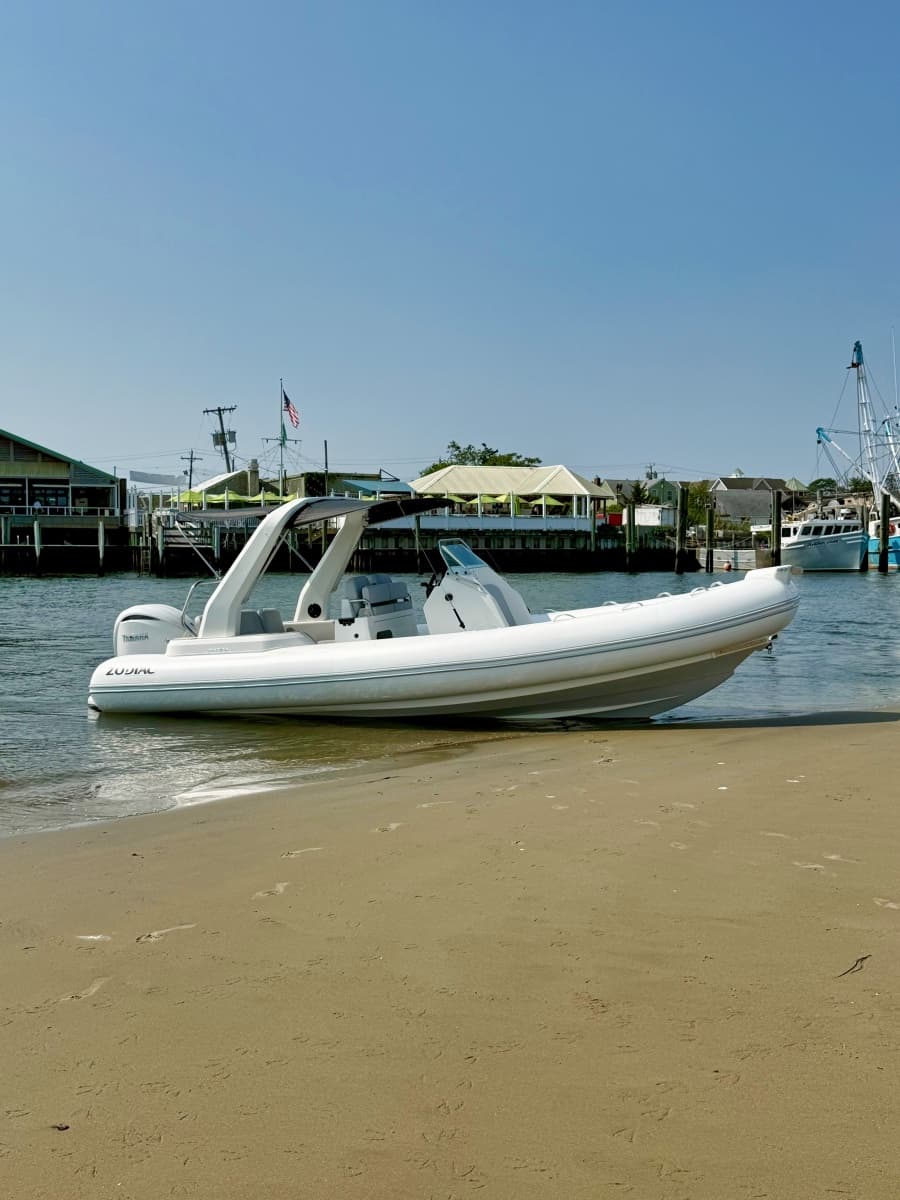 2026 Zodiac  - Photo 2