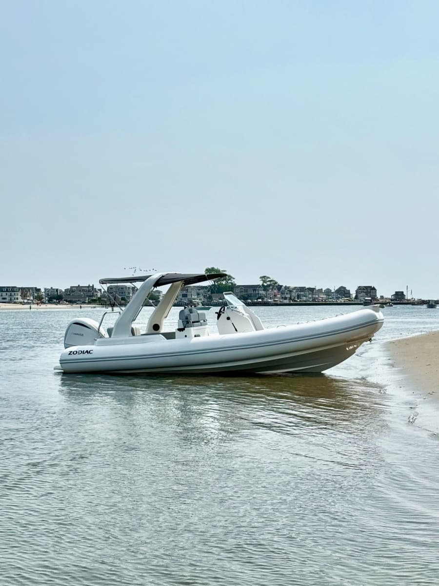 2026 Zodiac  - Photo 16