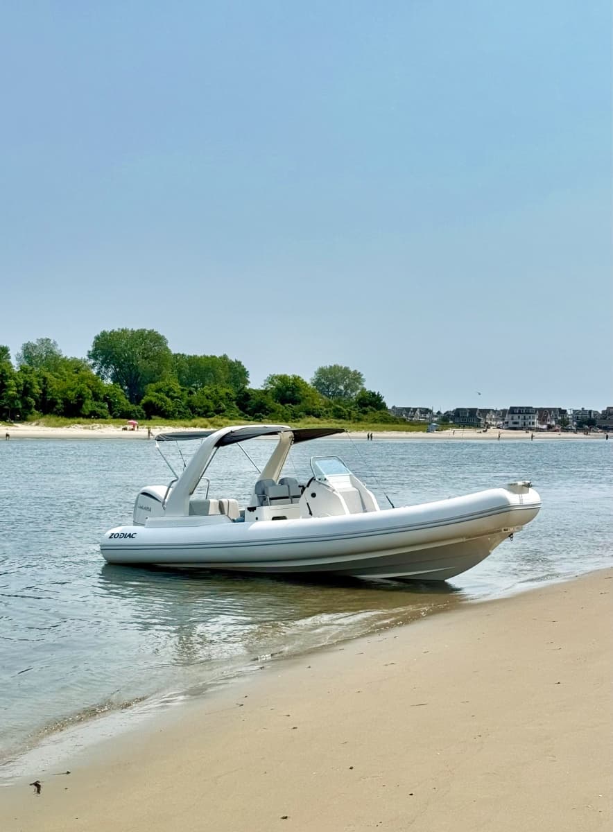 2026 Zodiac  - Photo 14