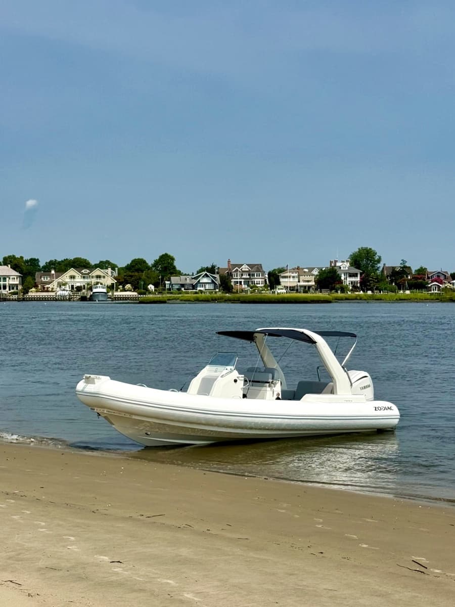 2026 Zodiac  - Photo 11