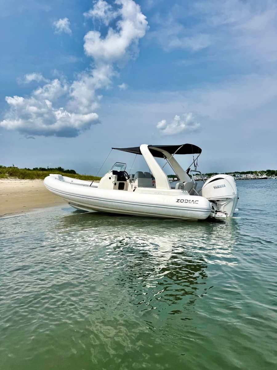 2026 Zodiac  - Photo 24