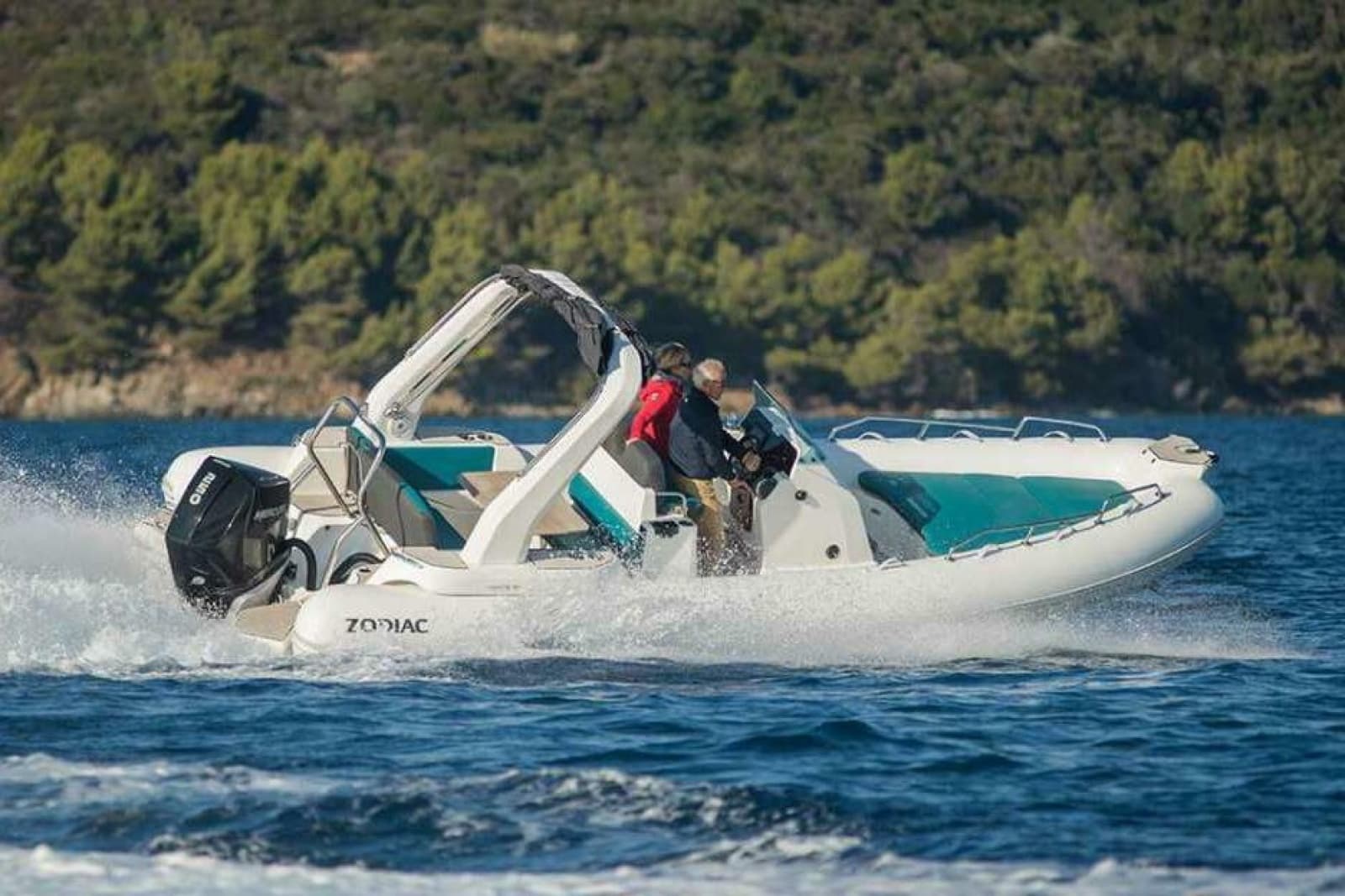 2026 Zodiac  - Photo 6