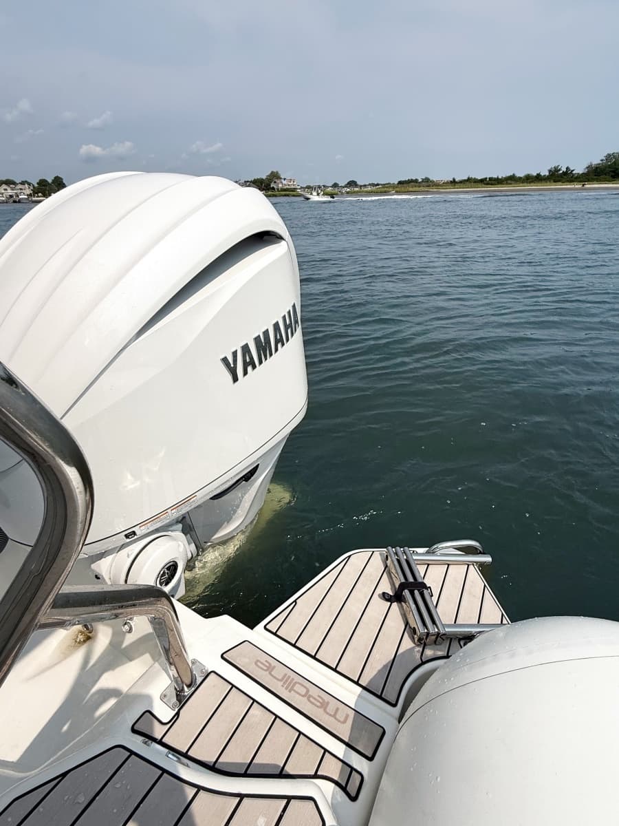 2026 Zodiac  - Photo 33