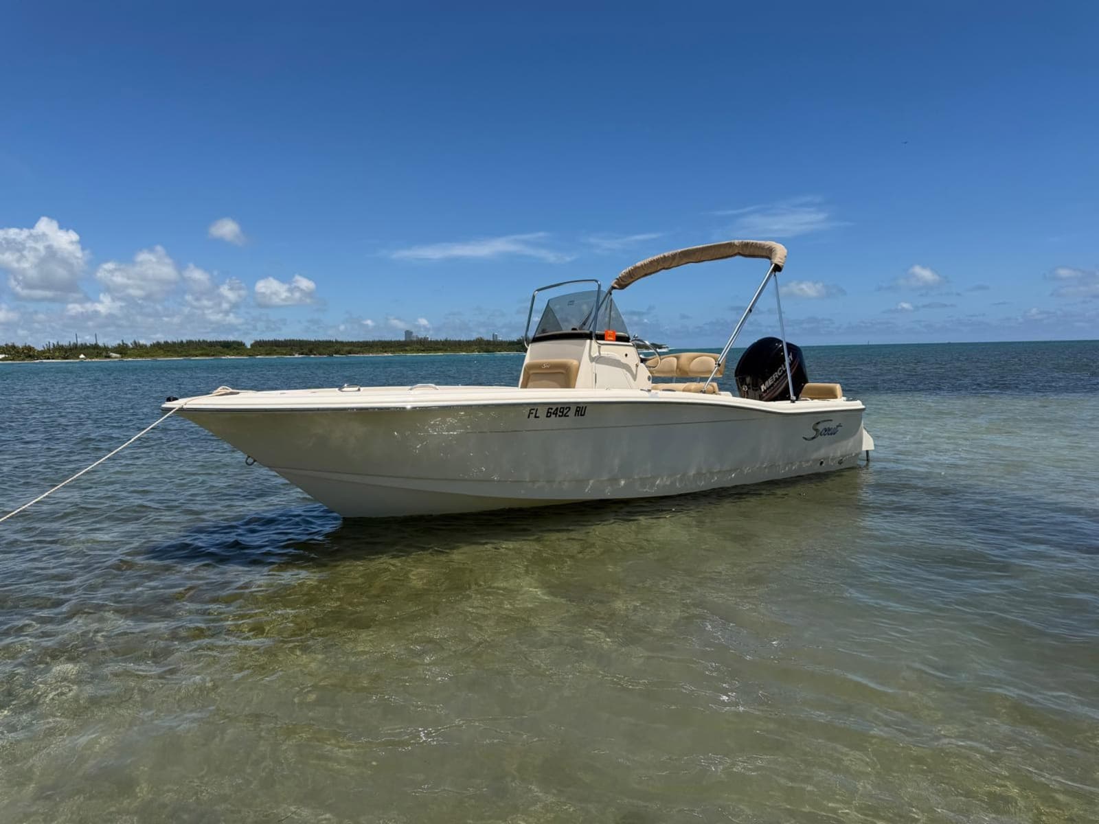 2019 Scout 195 Sportfish - Photo 3