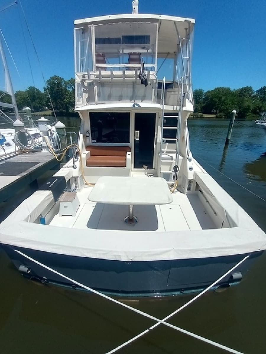 1987 Viking Convertible - Photo 5