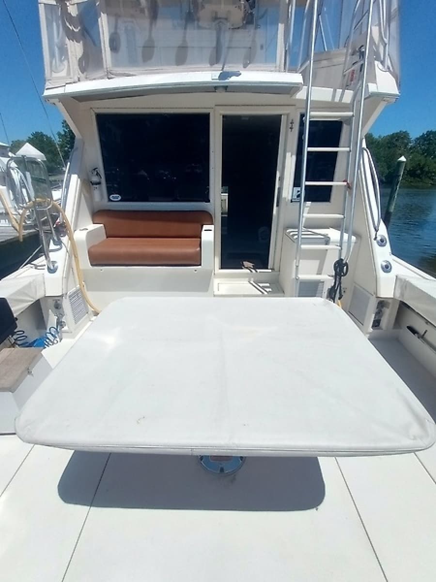 1987 Viking Convertible - Photo 8
