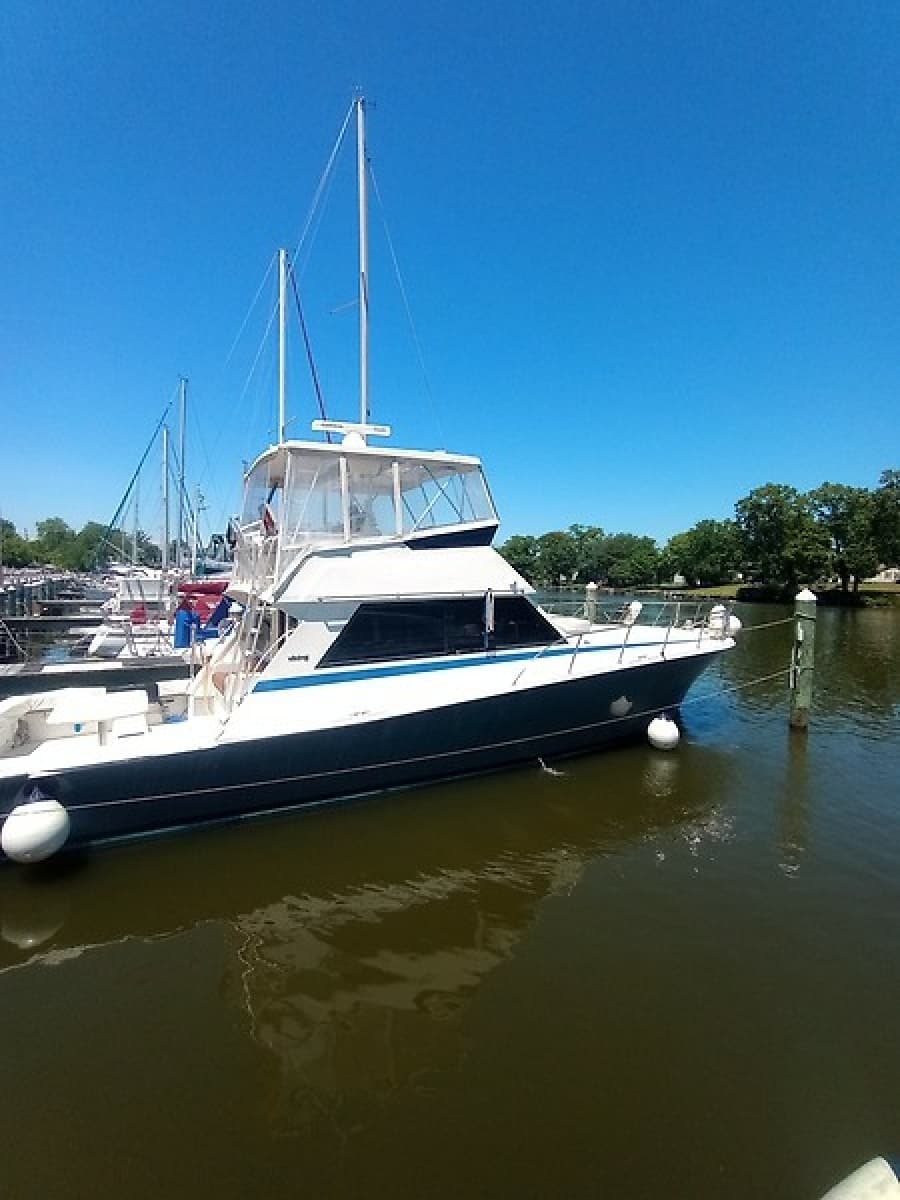 1987 Viking Convertible - Photo 1