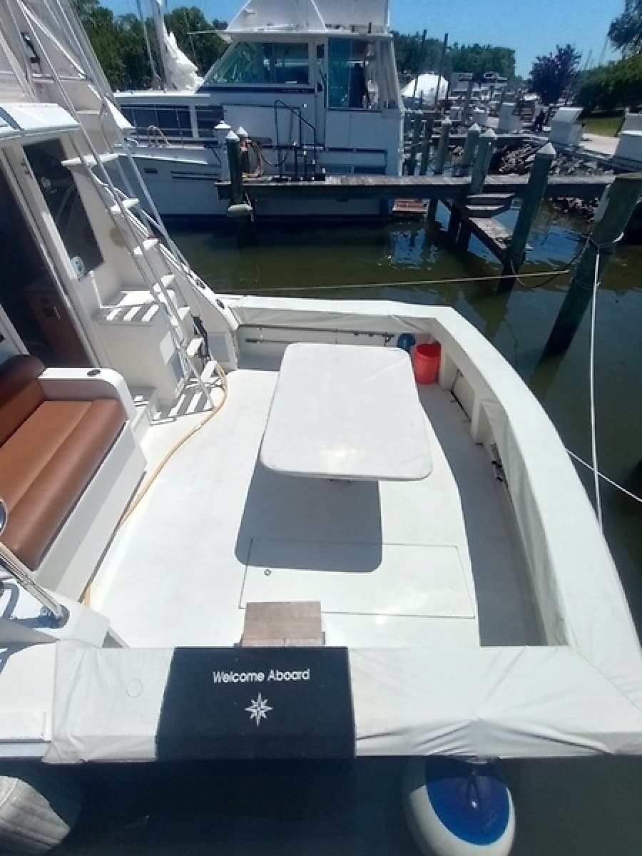 1987 Viking Convertible - Photo 6