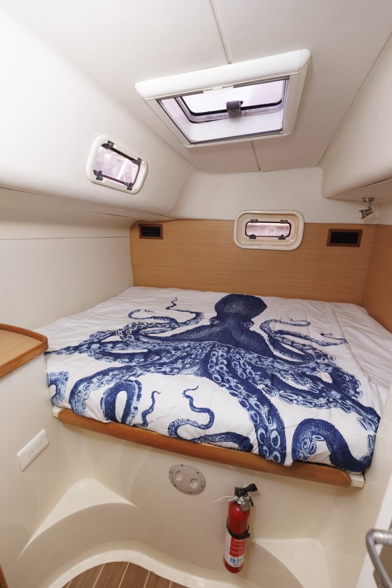2006 Leopard 43 - Photo 26