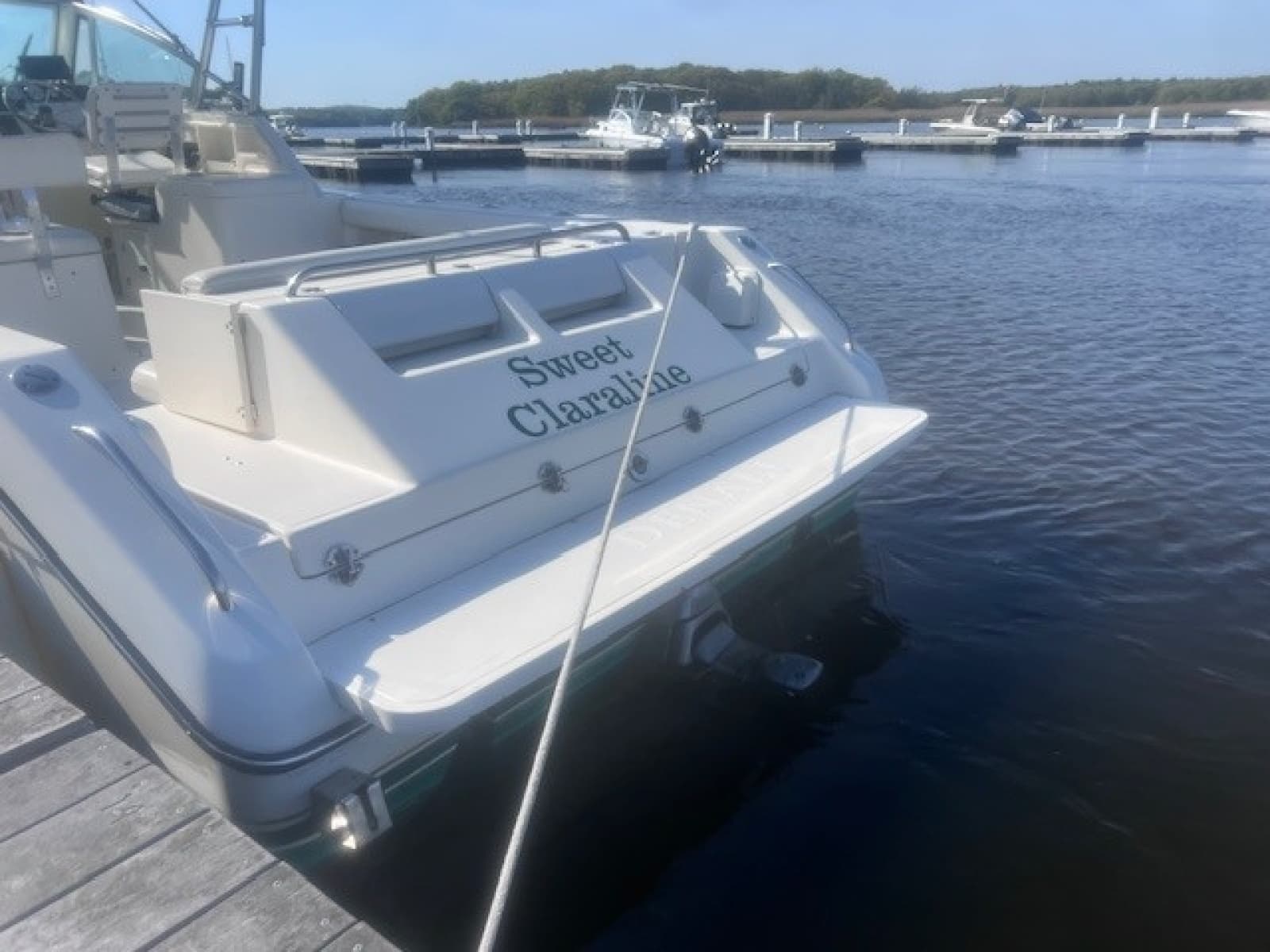 1999 Pursuit Denali 2860 - Photo 14