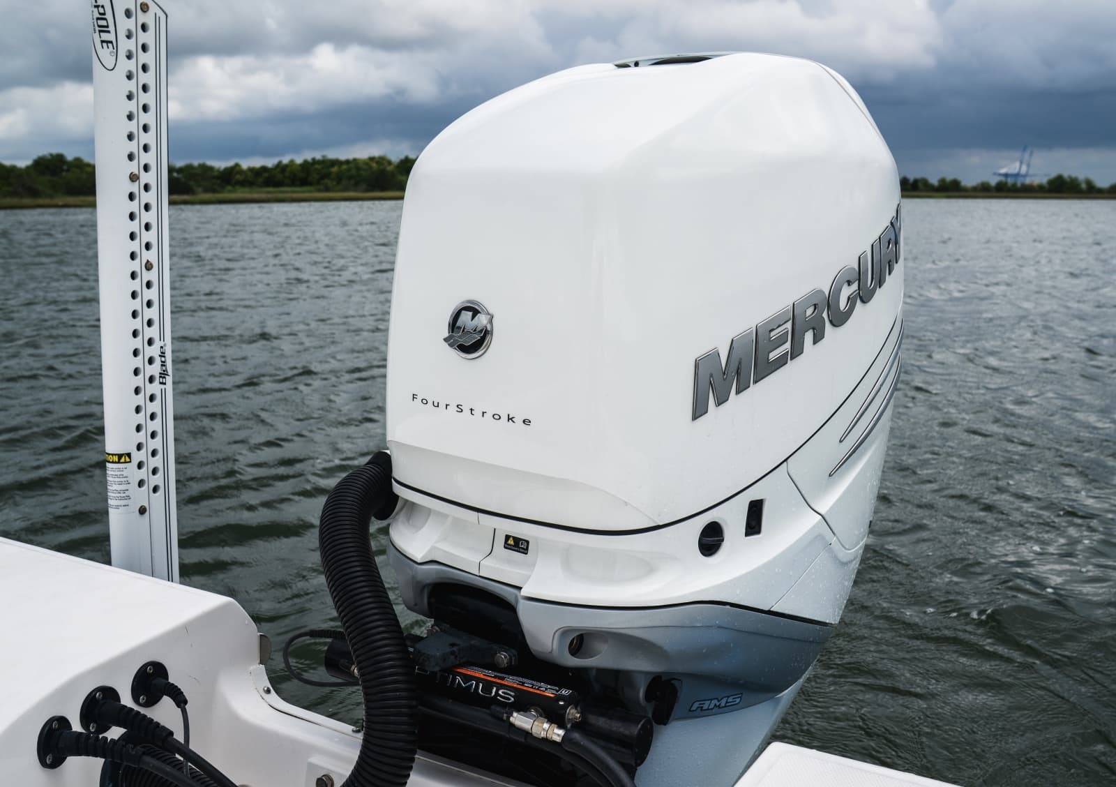 2020 Everglades 253CC - Photo 13