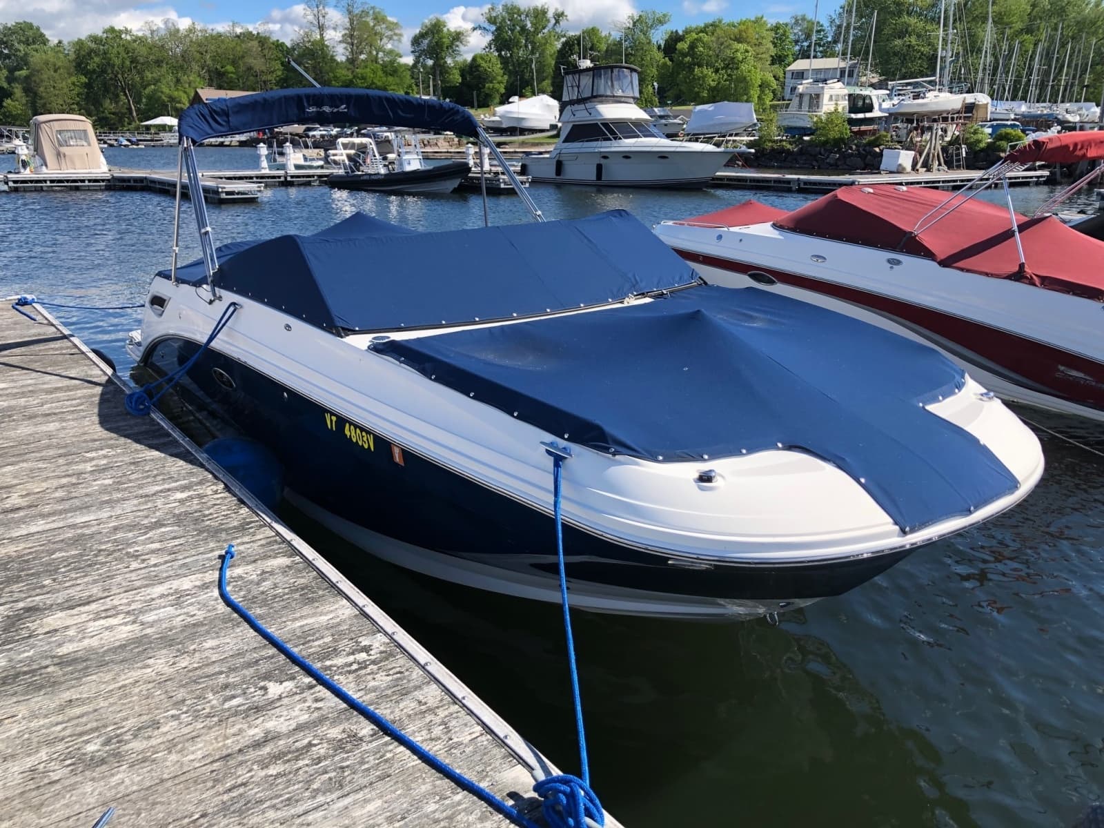 2013 Sea Ray  - Photo 3
