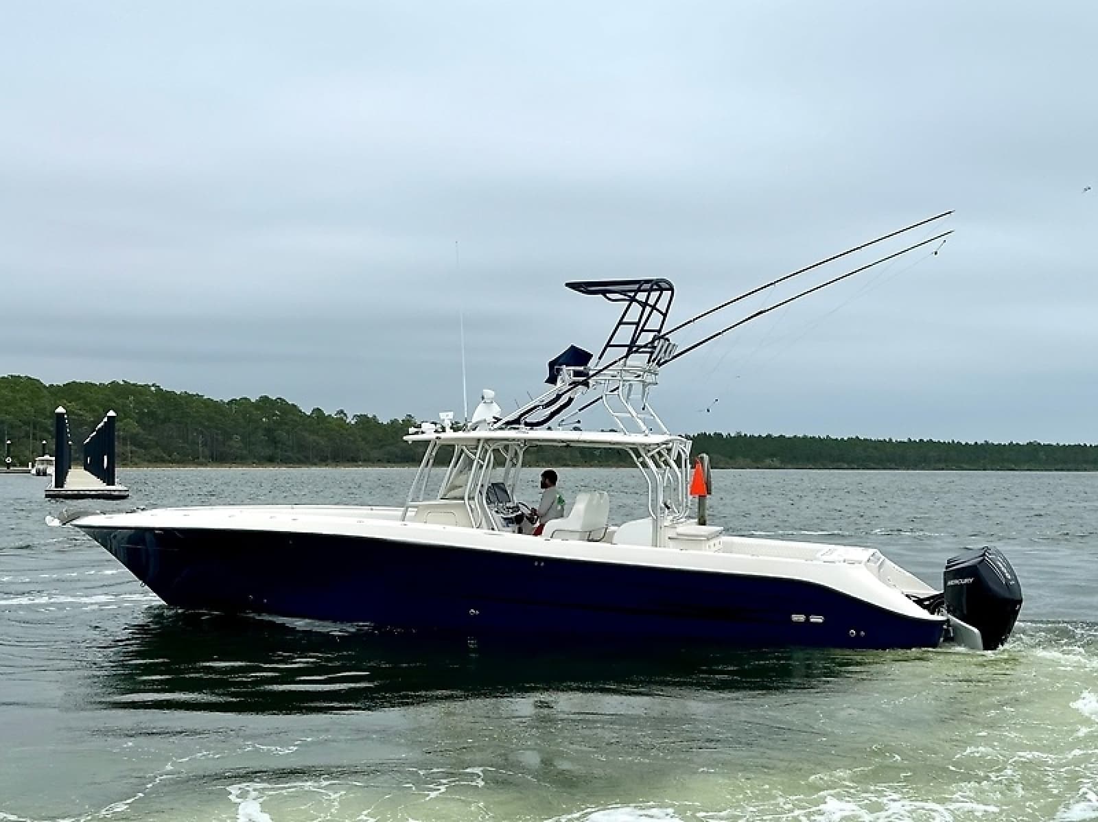 2009 Hydra-Sports Vector 4100CC - Photo 8