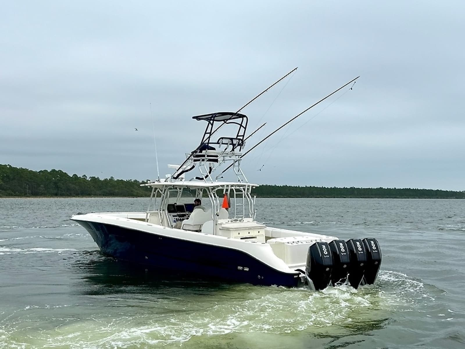 2009 Hydra-Sports Vector 4100CC - Photo 3