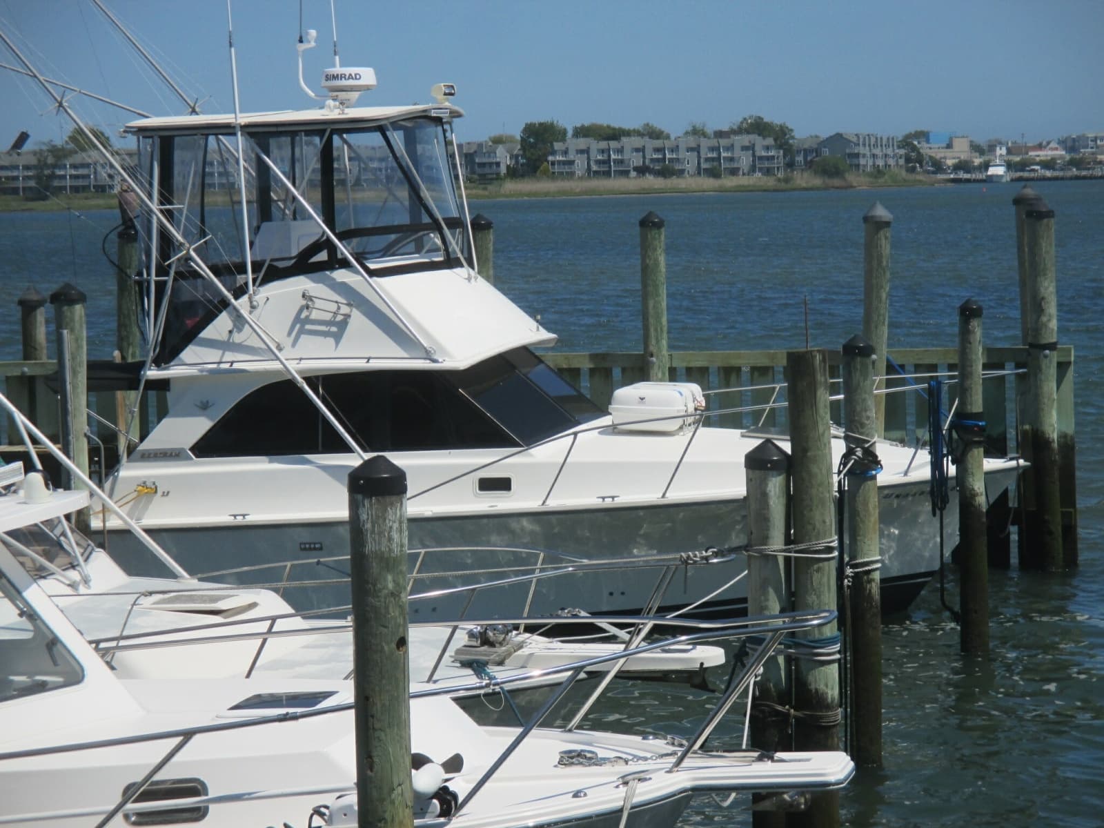 1984 Bertram 35 Convertable - Photo 6