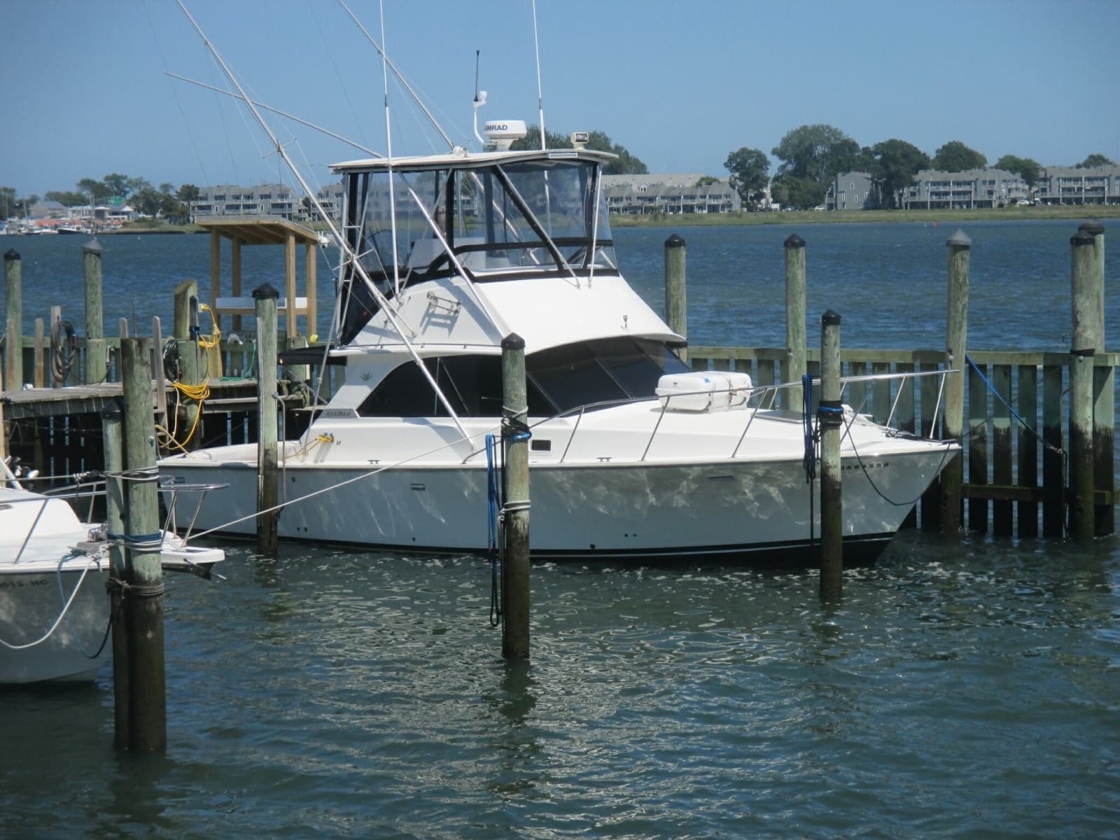 1984 Bertram 35 Convertable - Photo 3