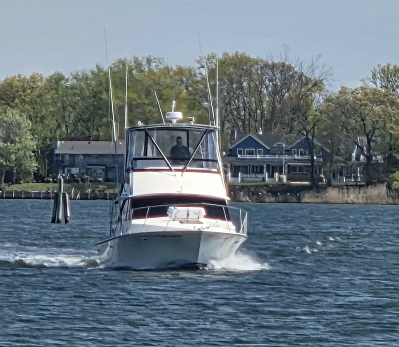 1984 Bertram 35 Convertable - Photo 2