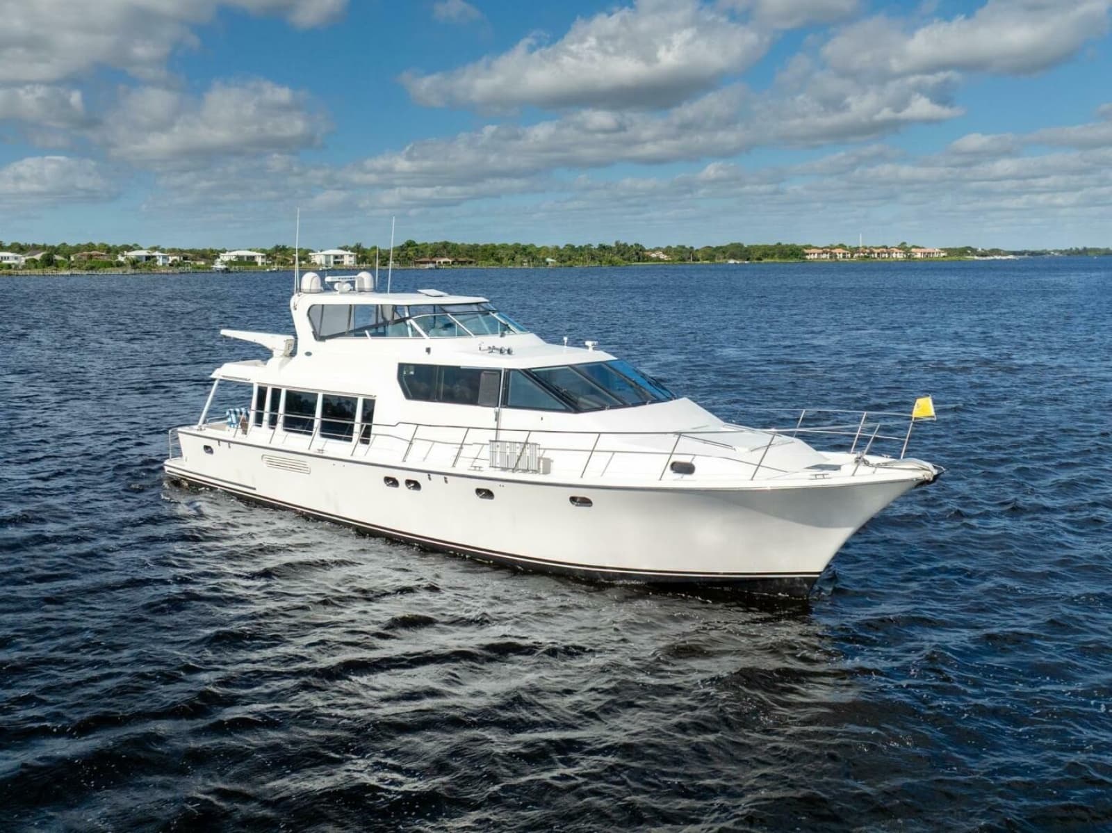 2009 Pacific Mariner 65 Motor Yacht - Photo 8