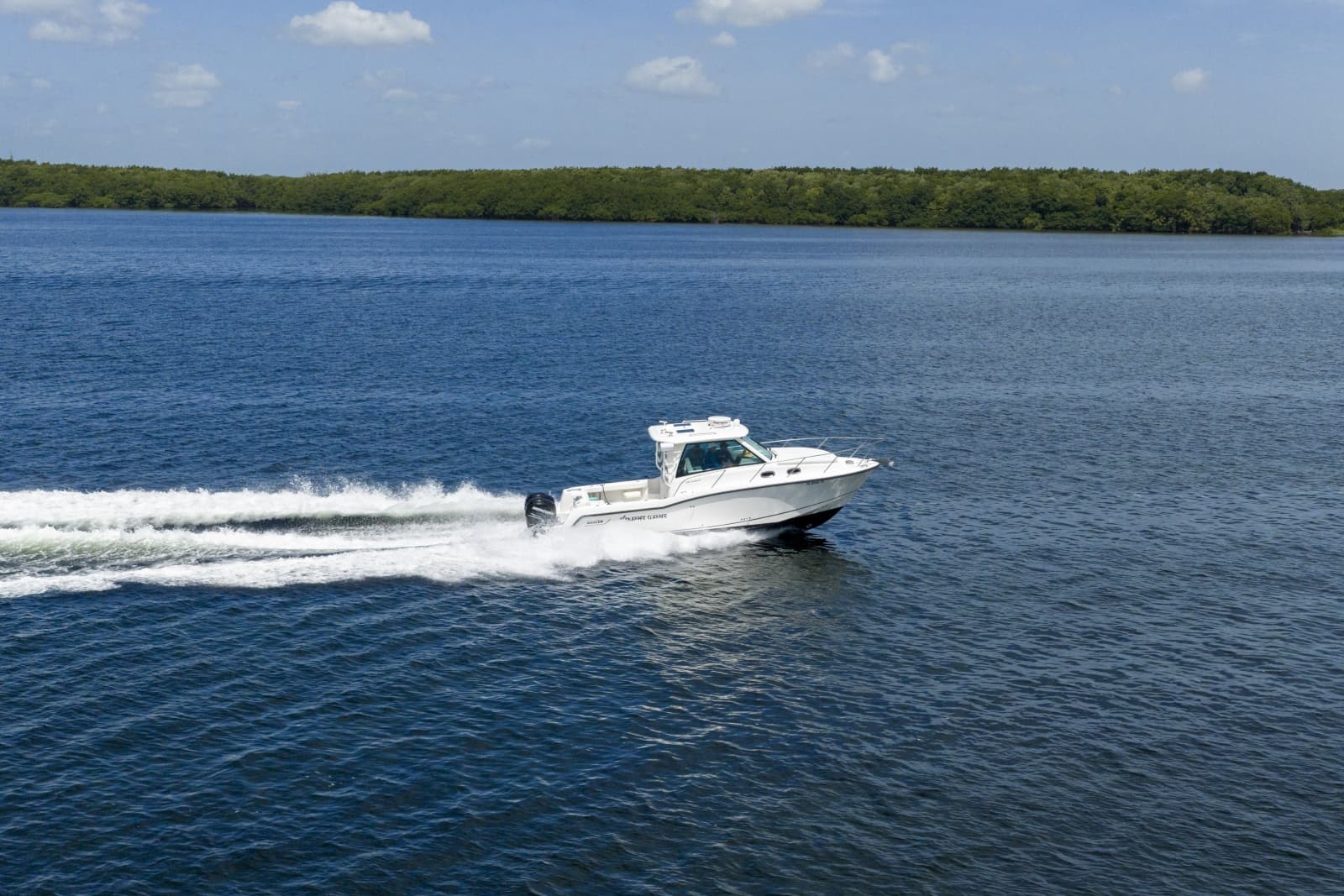 2014 Boston Whaler 315 Conquest - Photo 8