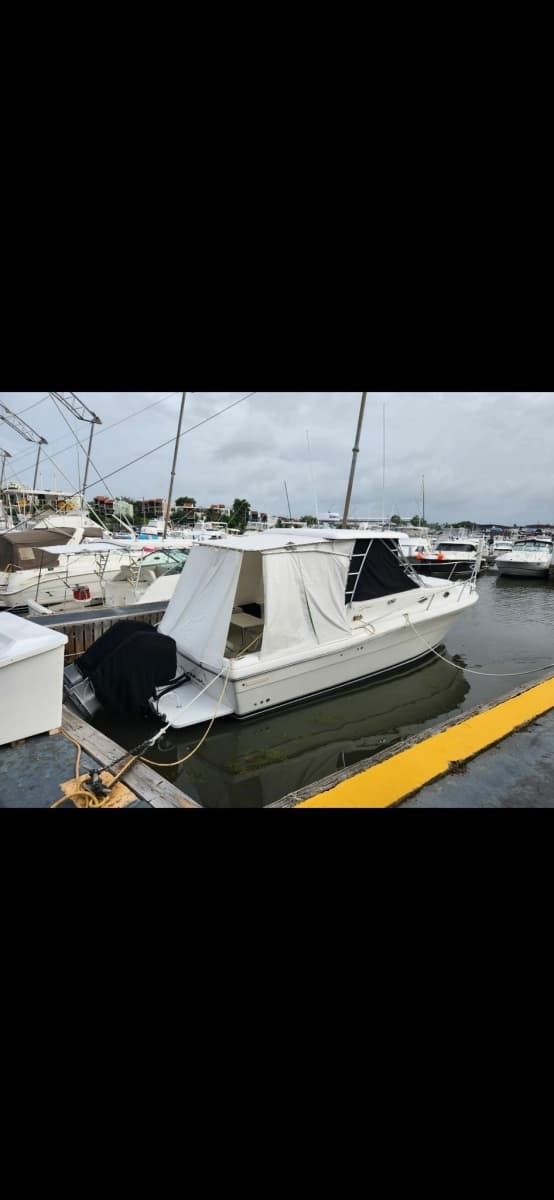 2006 Stamas 340 Express - Photo 30