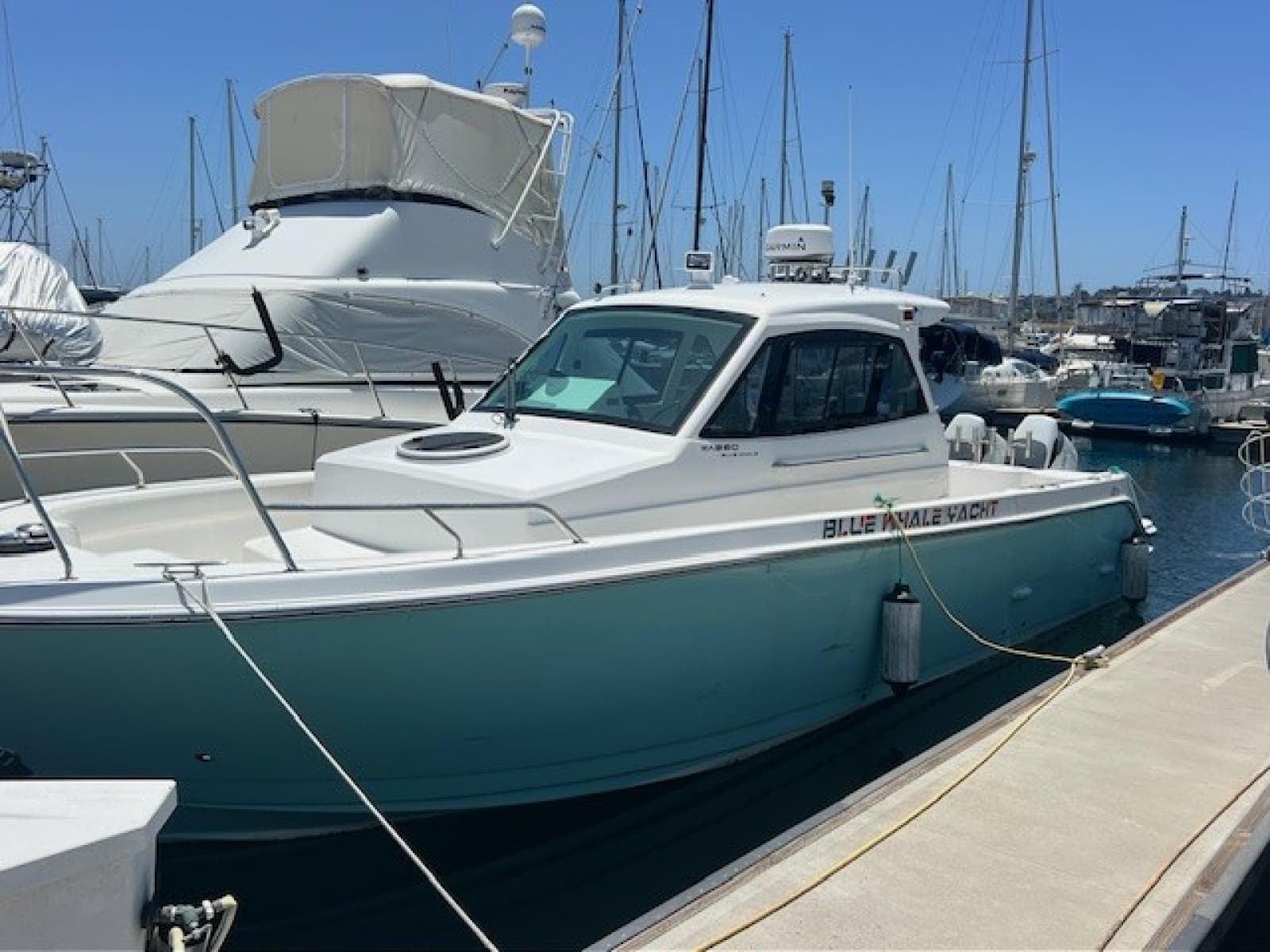 2024 Custom Blue whale 36OB - Photo 1
