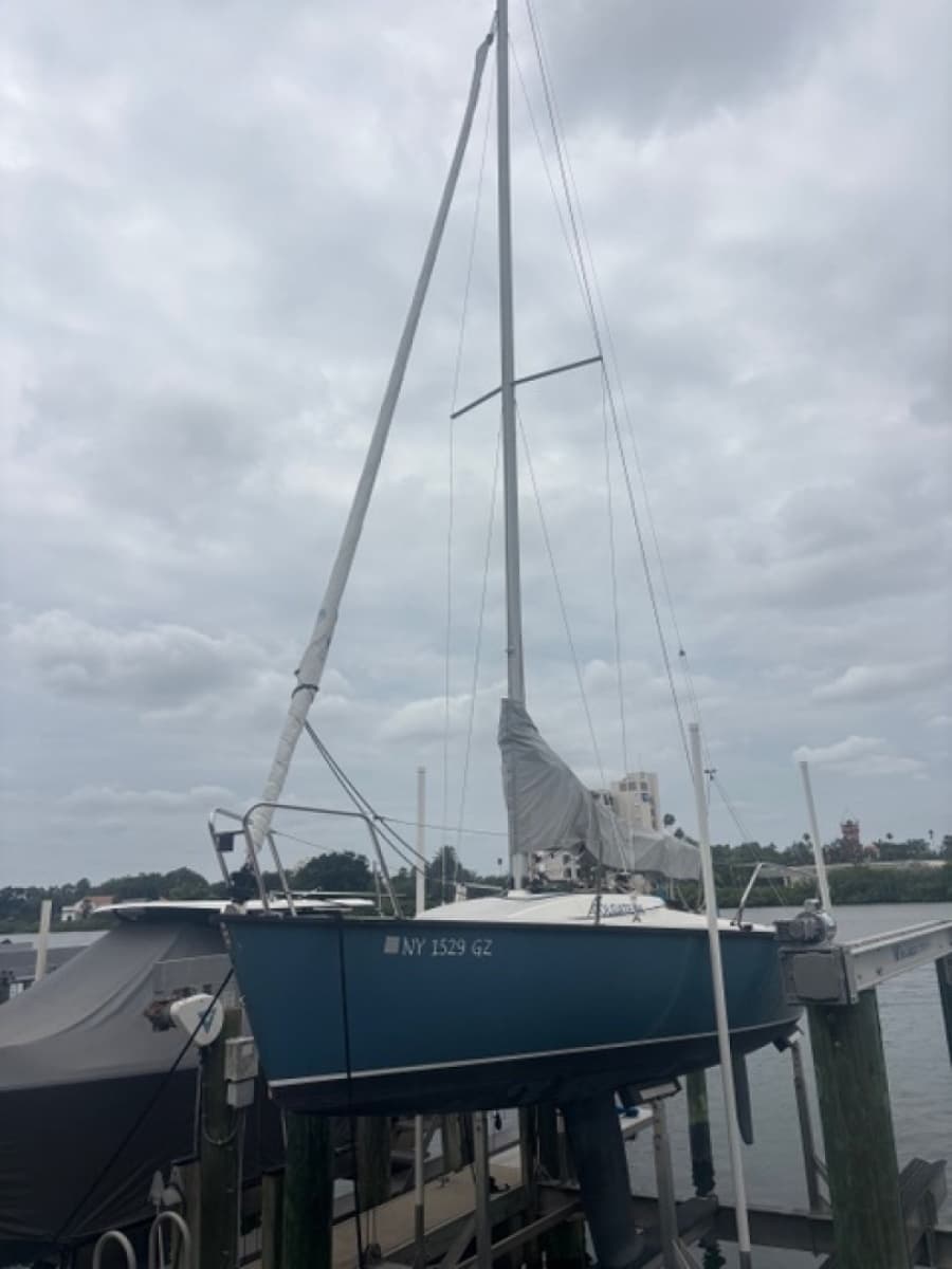 2018 Colgate  - Photo 7