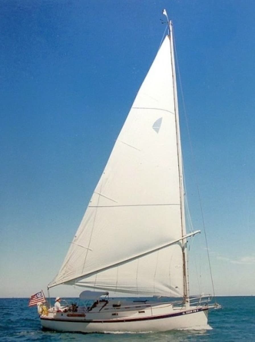 1984 Nonsuch Classic - Photo 30