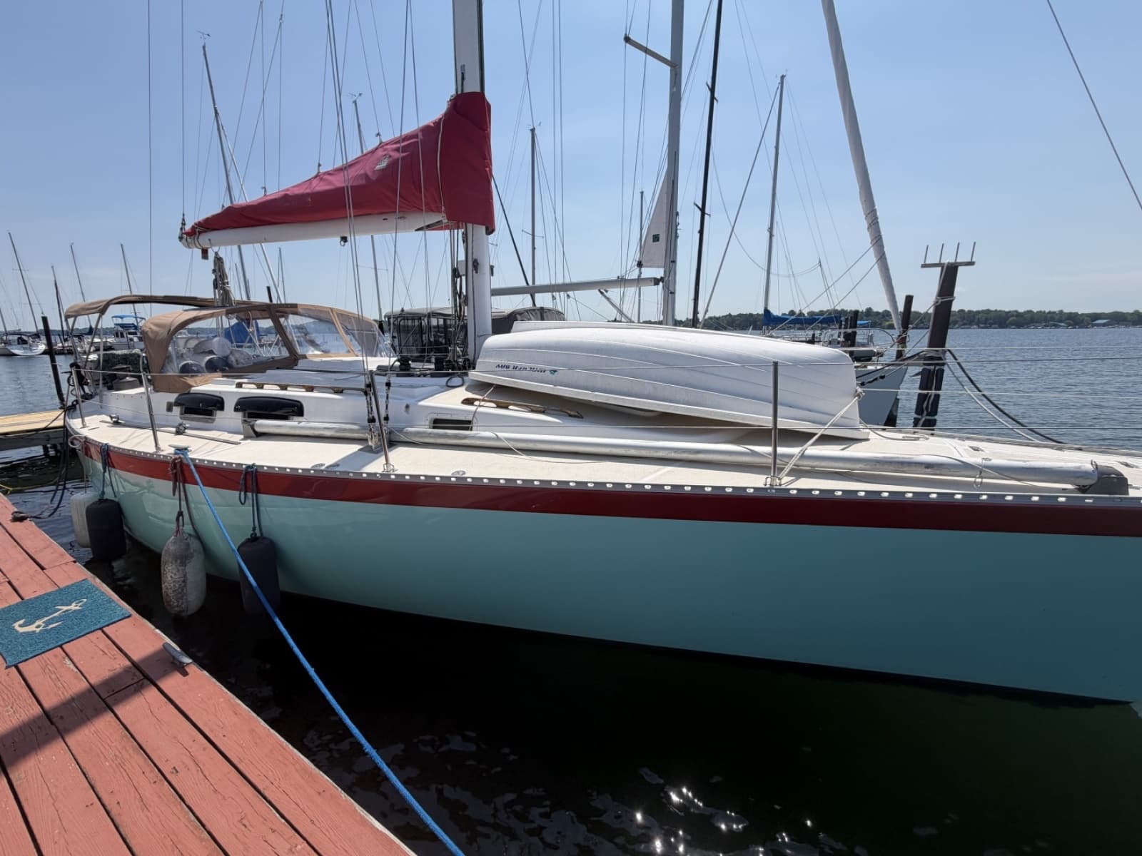 1983 Morgan Nelson Marek 454 - Photo 4