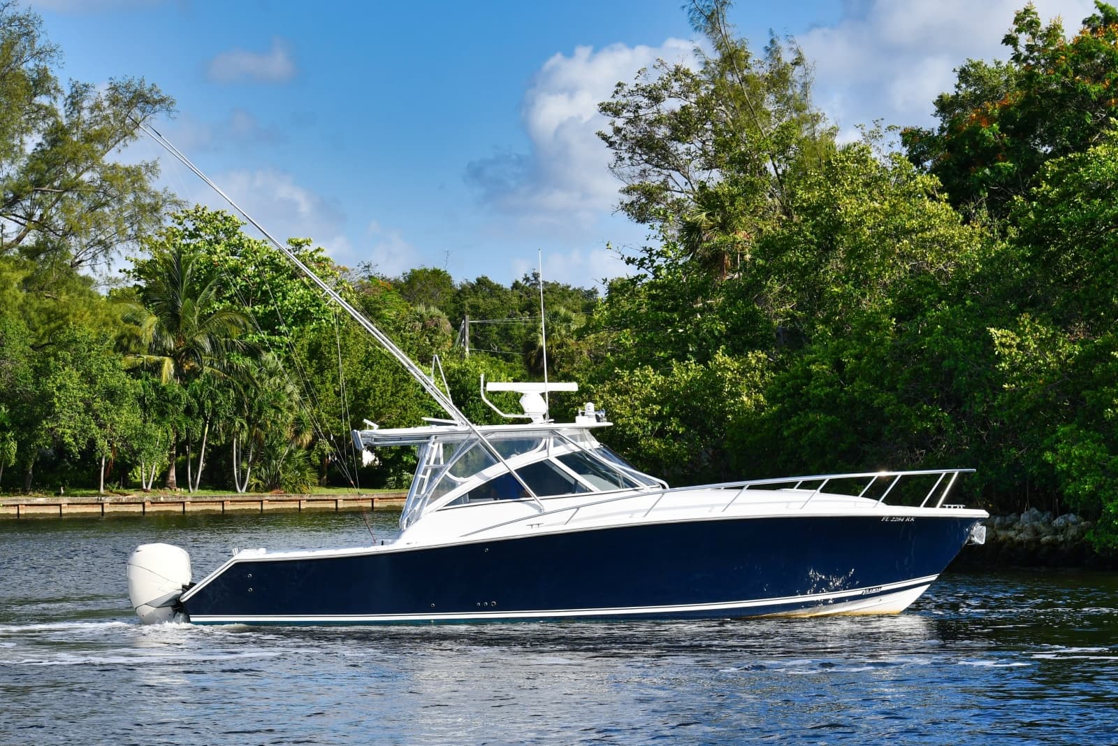 2009 Jupiter  - Photo 6
