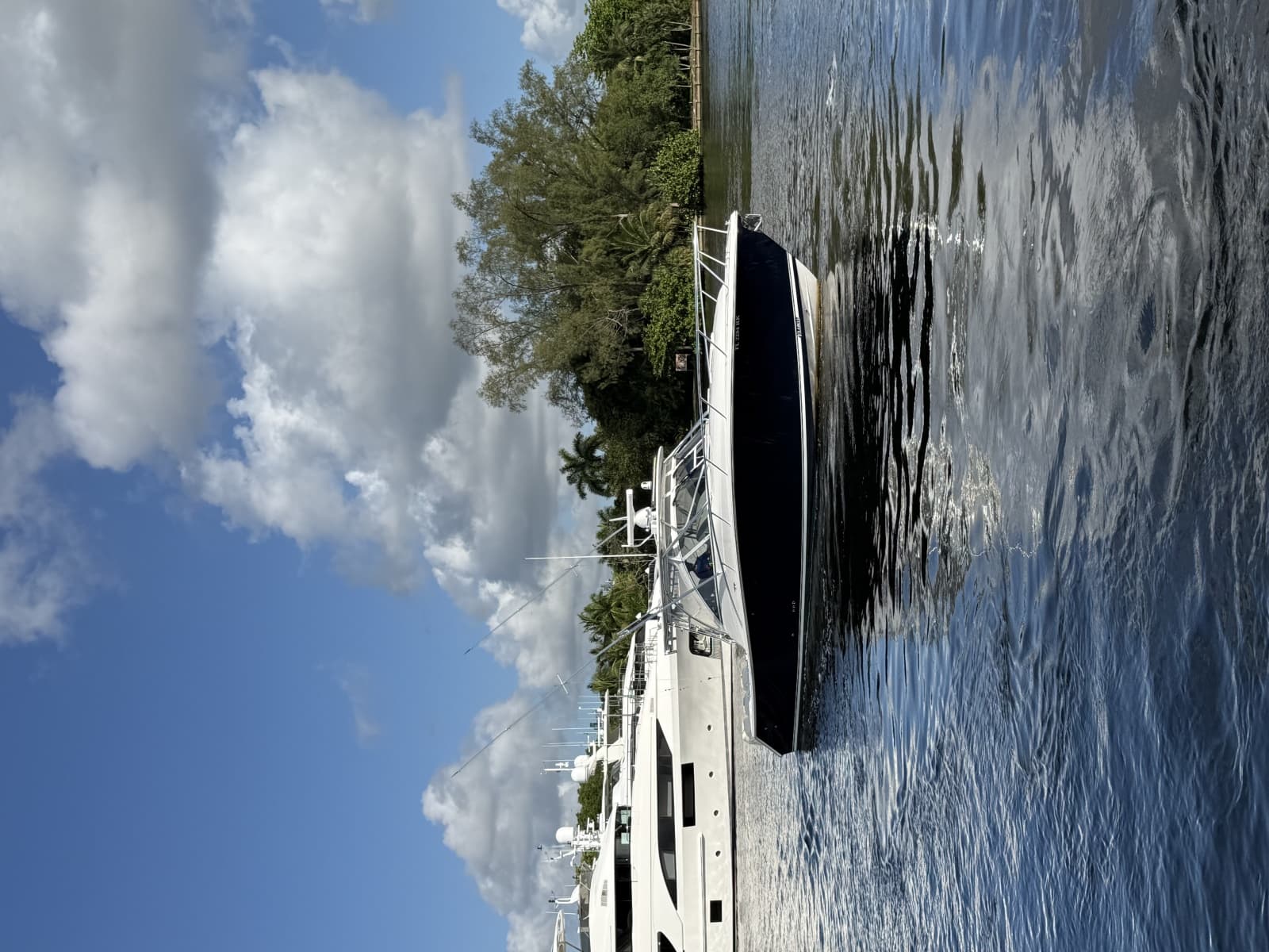2009 Jupiter  - Photo 14