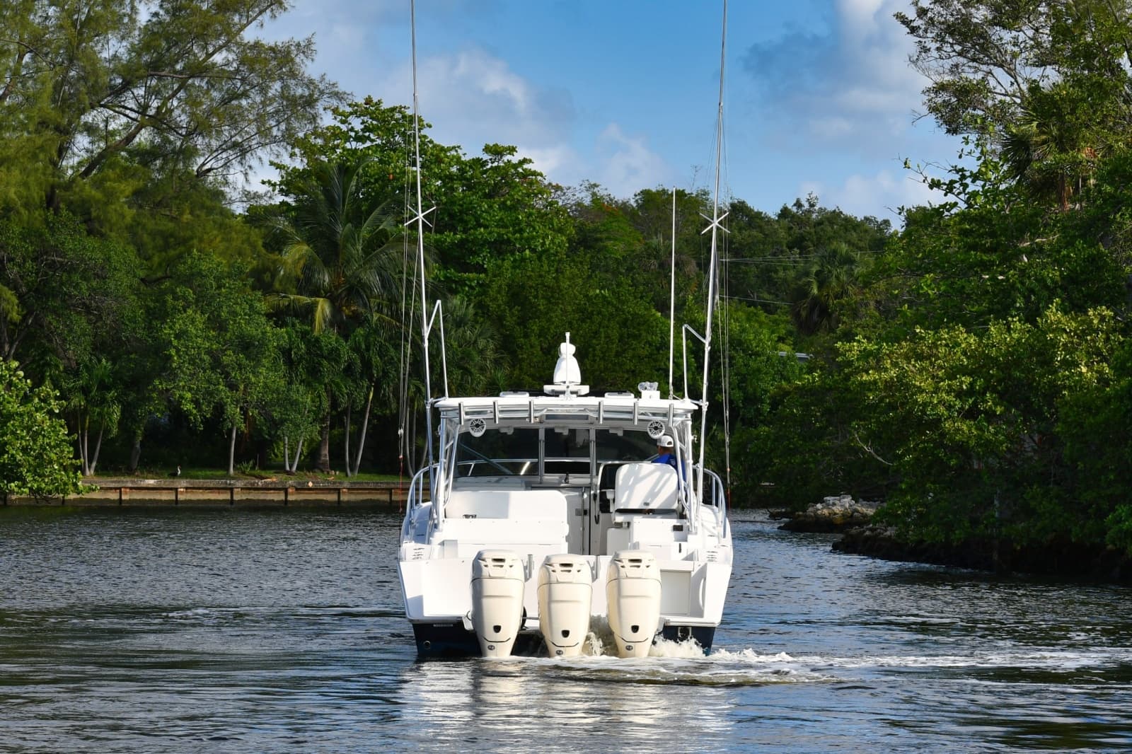 2009 Jupiter  - Photo 4