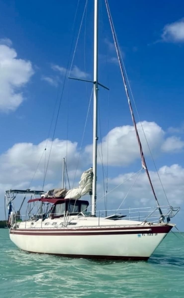 1985 Scanmar  - Photo 10