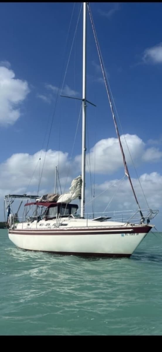 1985 Scanmar  - Photo 1