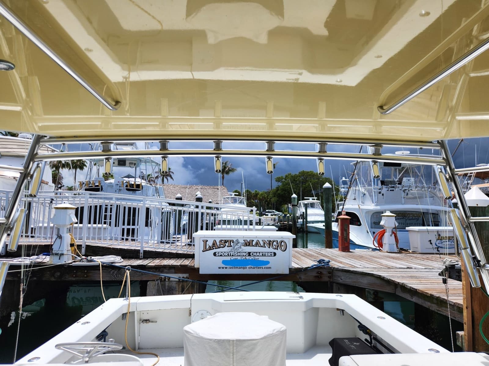 1987 Young Brothers Custom Sport Fish/Charter Business - Photo 14