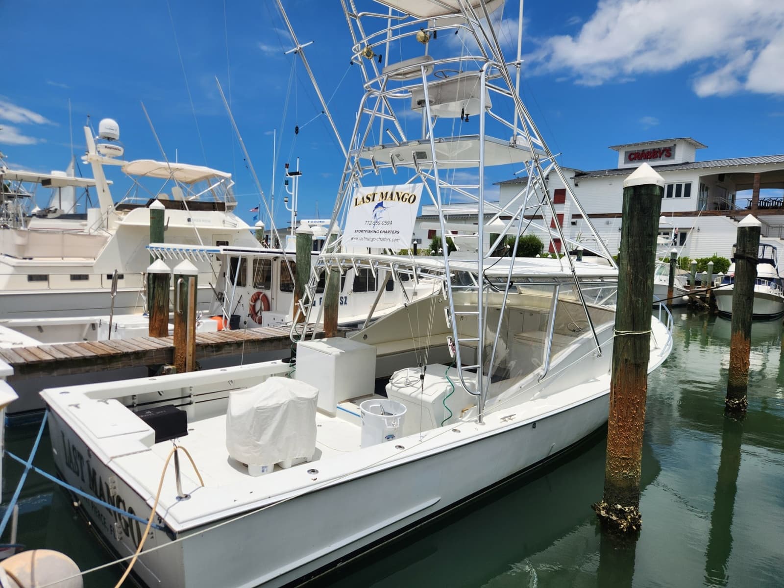 1987 Young Brothers Custom Sport Fish/Charter Business - Photo 5