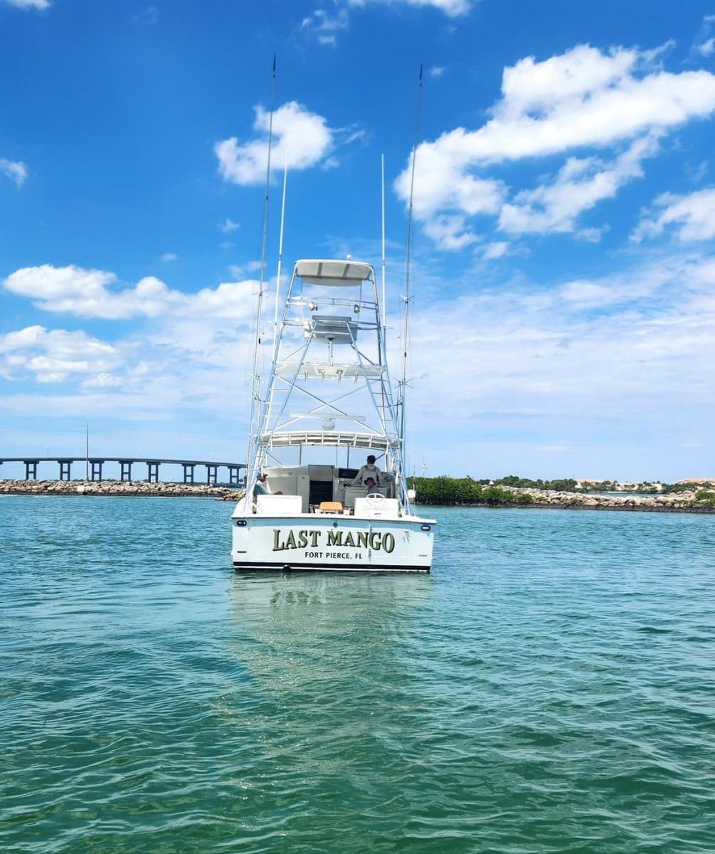 1987 Young Brothers Custom Sport Fish/Charter Business - Photo 4