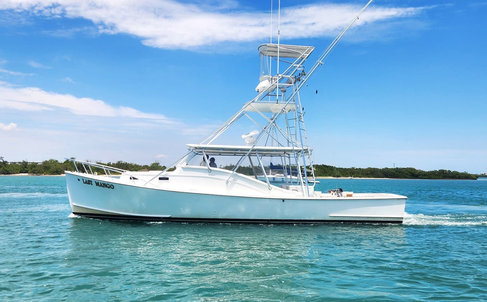 1987 Young Brothers Custom Sport Fish/Charter Business - Photo 1