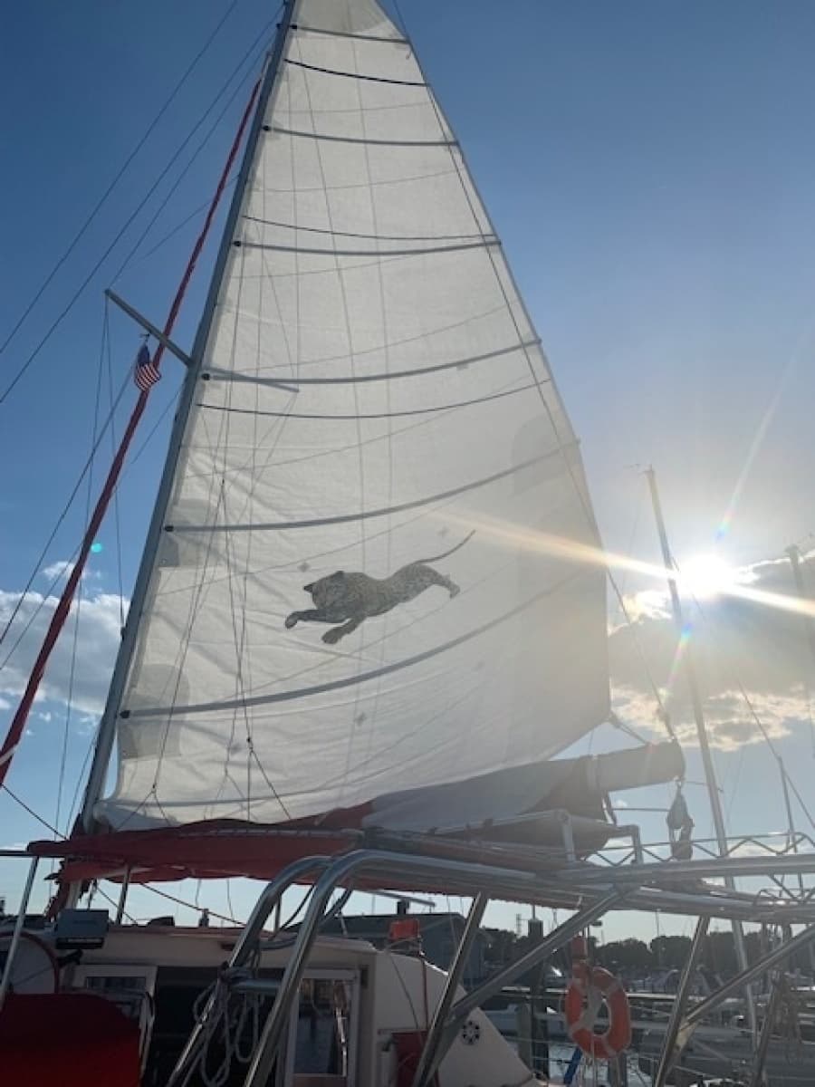 2005 Jaguar Catamarans  - Photo 11