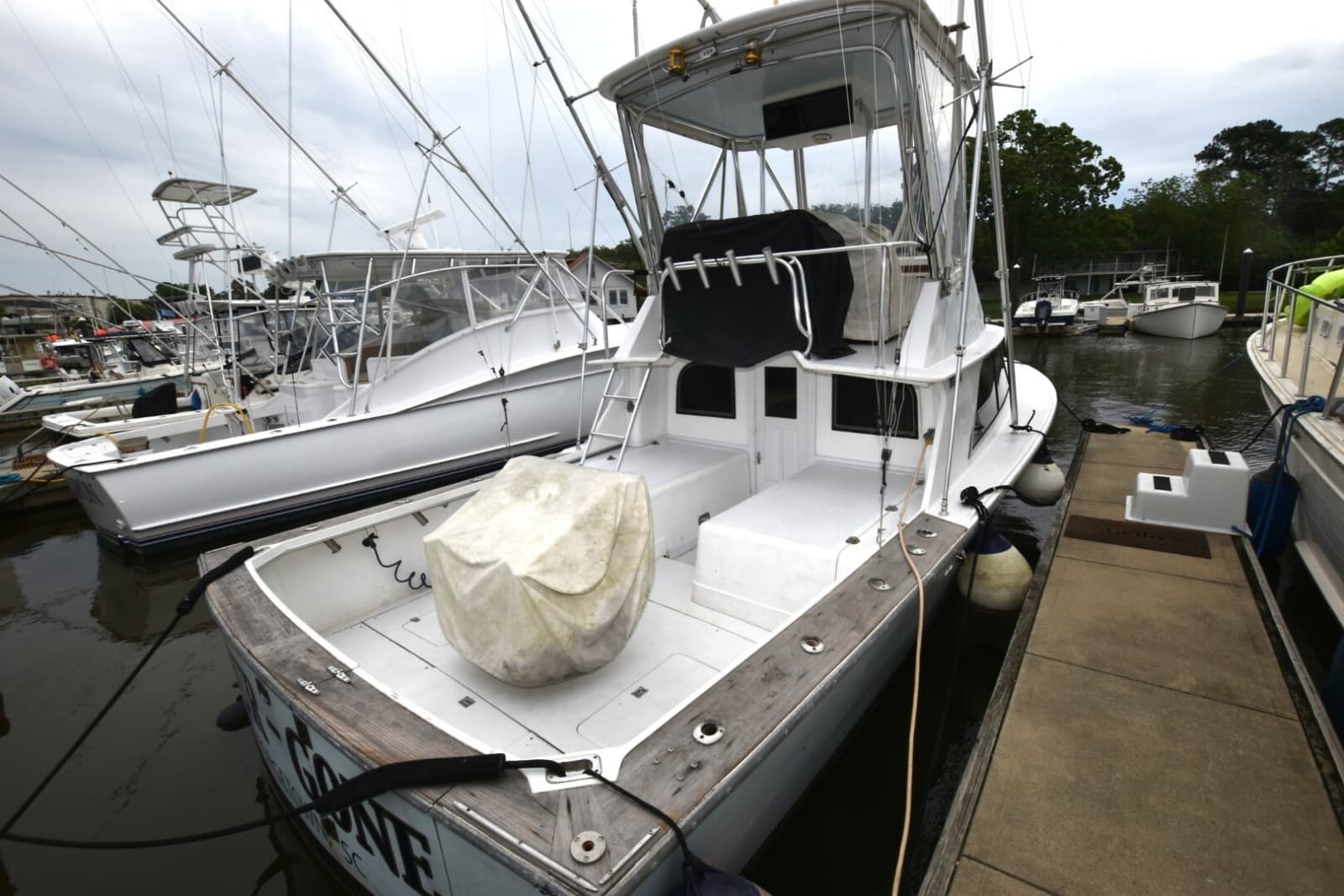 1981 Blackfin 32 Sportfisherman - Photo 3