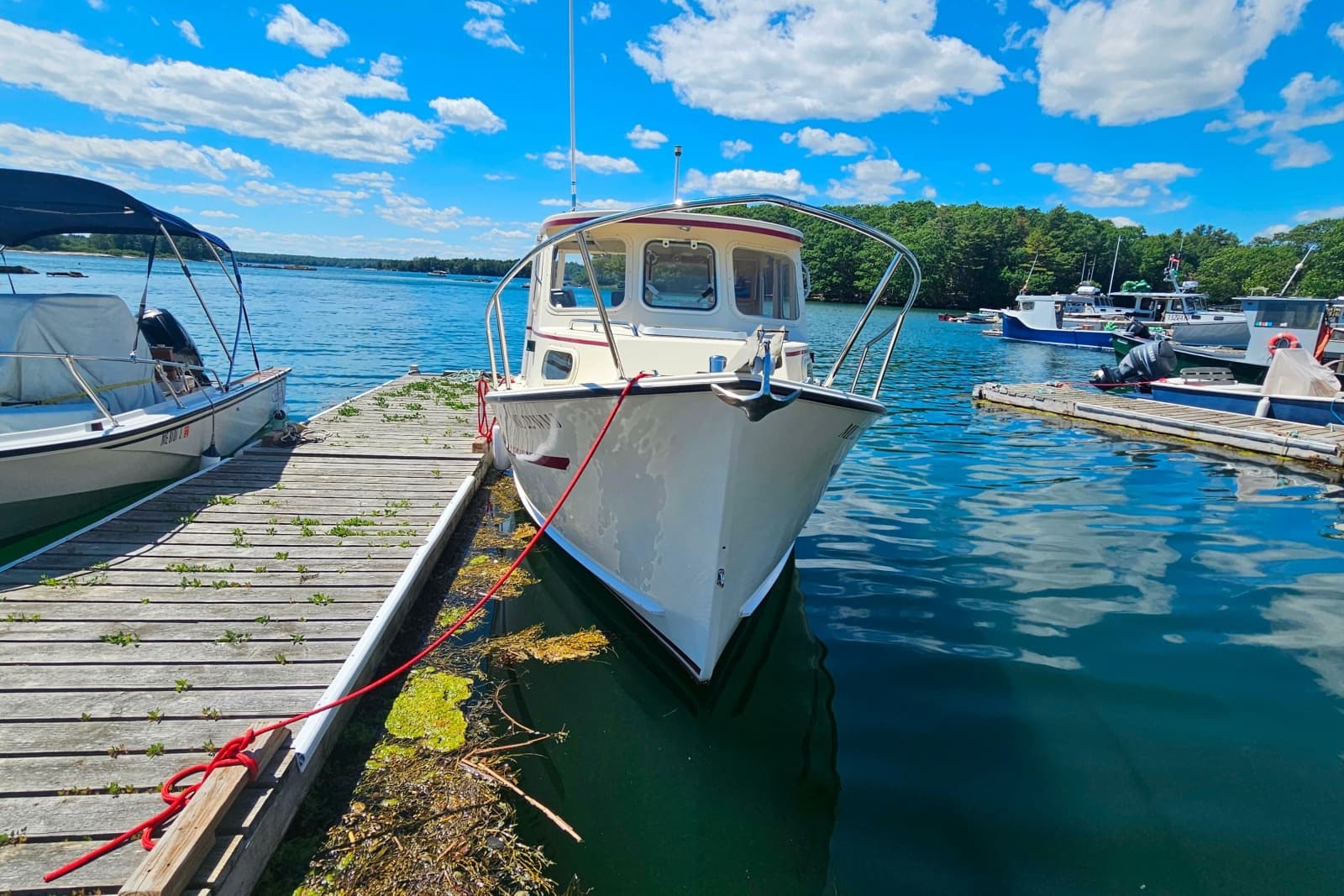 2001 Rosborough RF-246 Custom Wheelhouse - Photo 4
