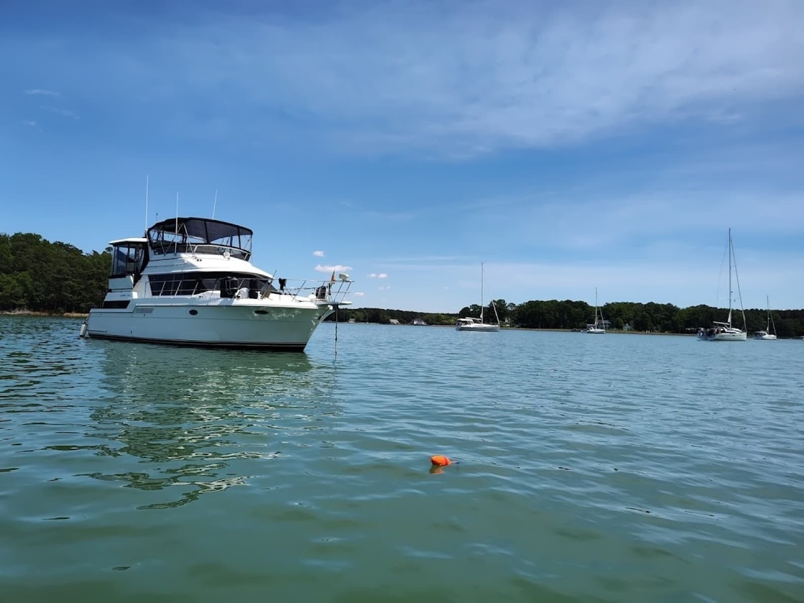 1996 Carver 430 - Photo 4