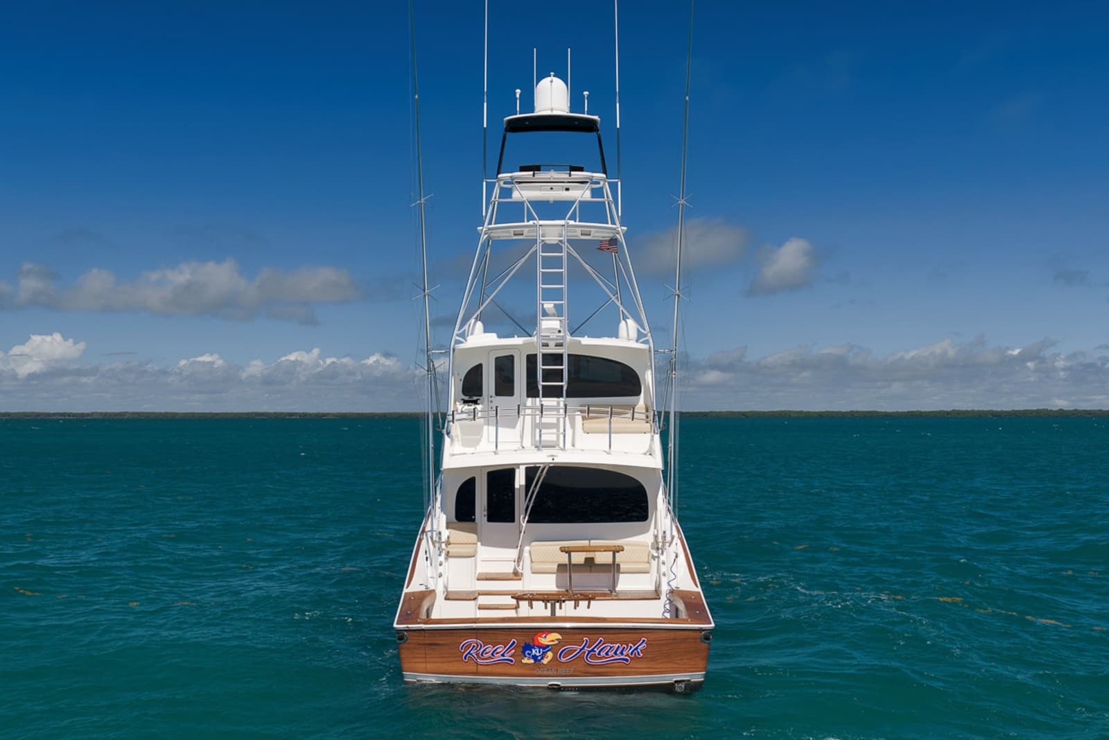 2015 Viking 76 Enclosed Bridge - Photo 10