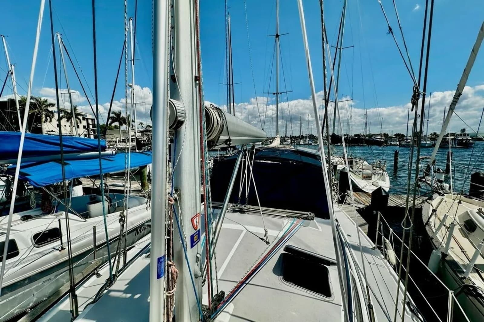 2005 Catalina 350 - Photo 5
