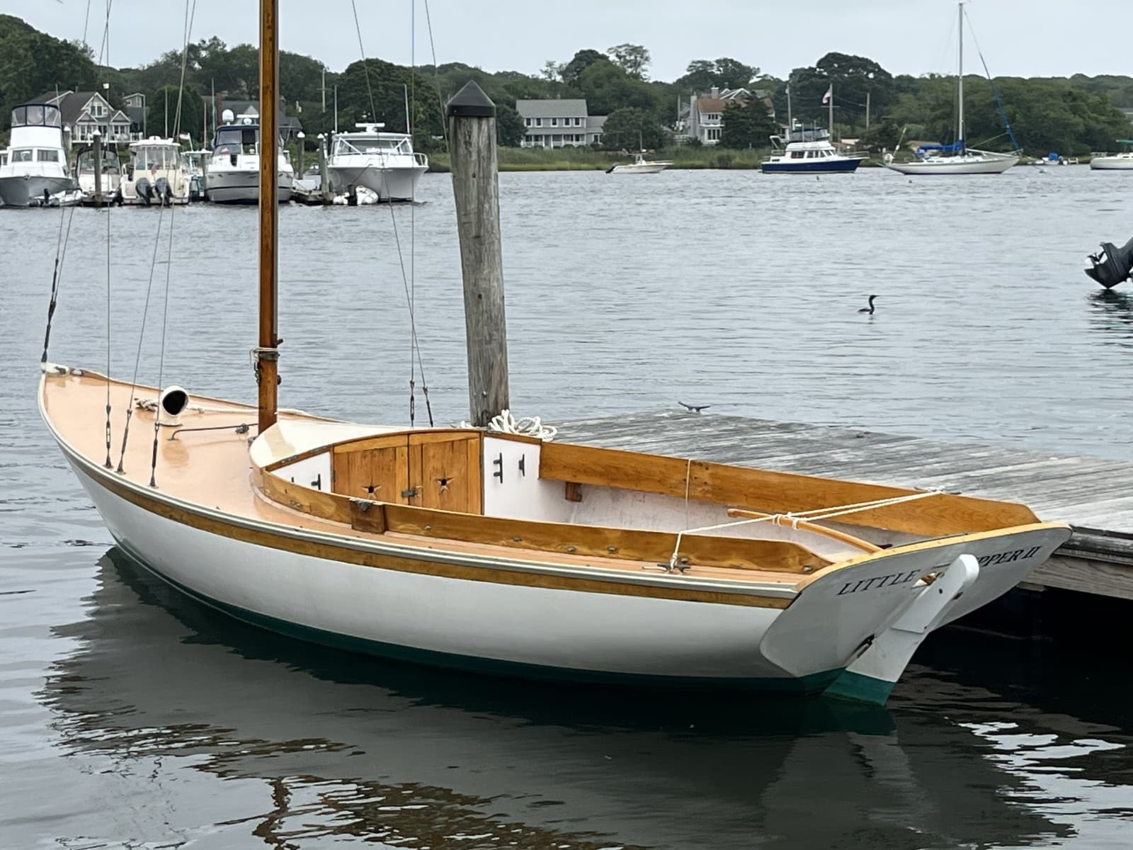 1979 Golden Era Petrel - Photo 6