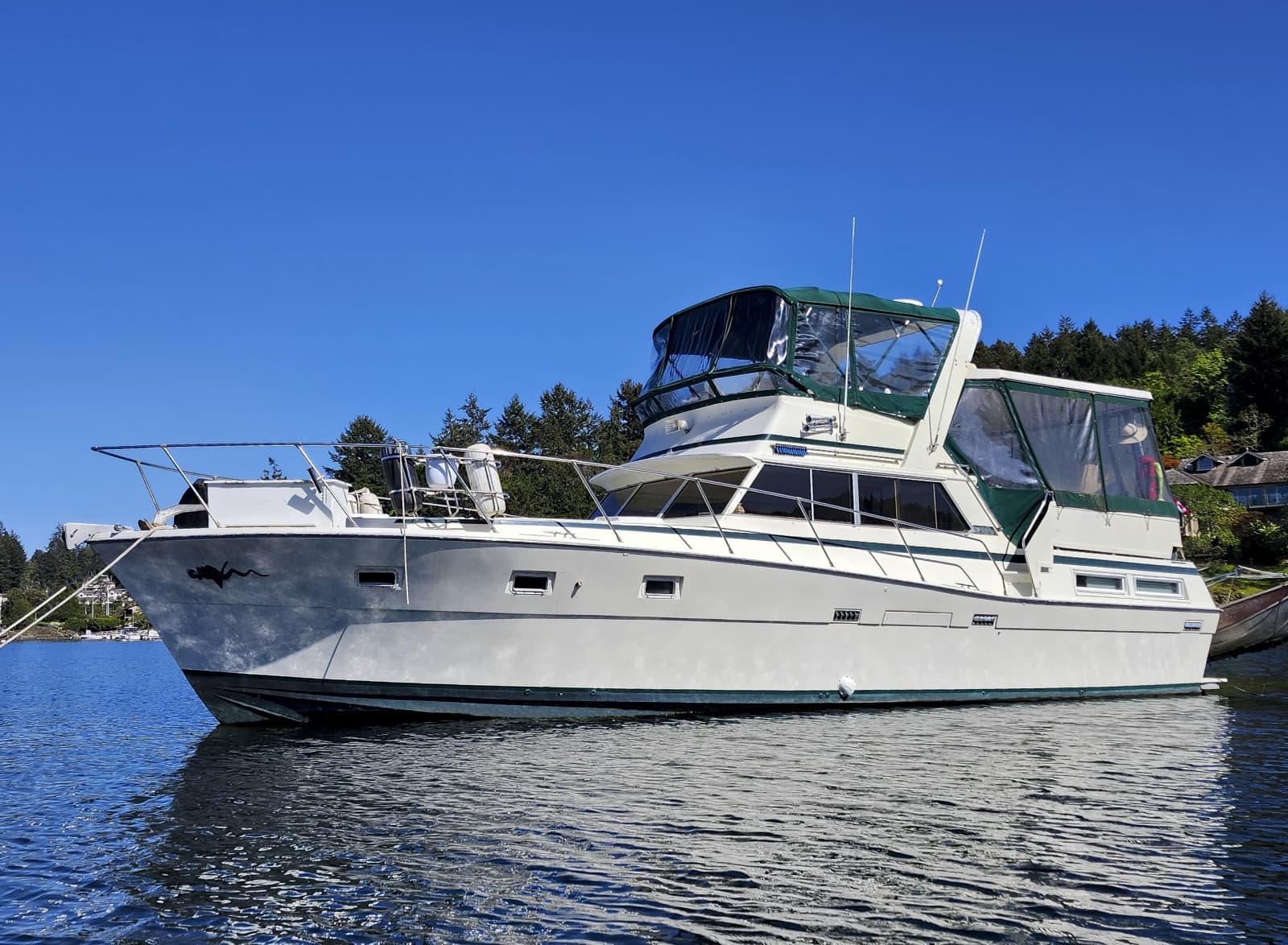 1977 Viking 43 - Photo 4