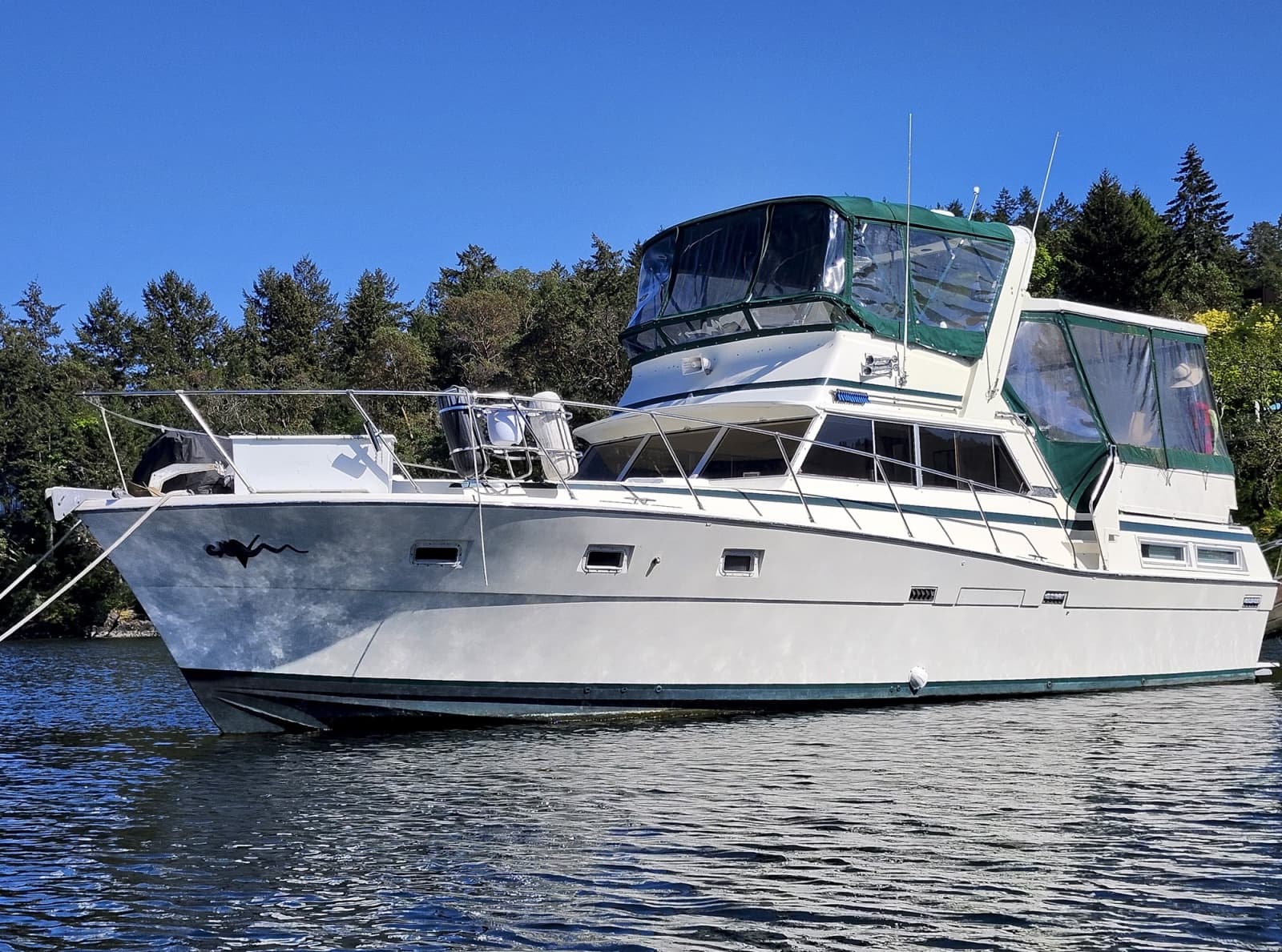 1977 Viking 43 - Photo 1