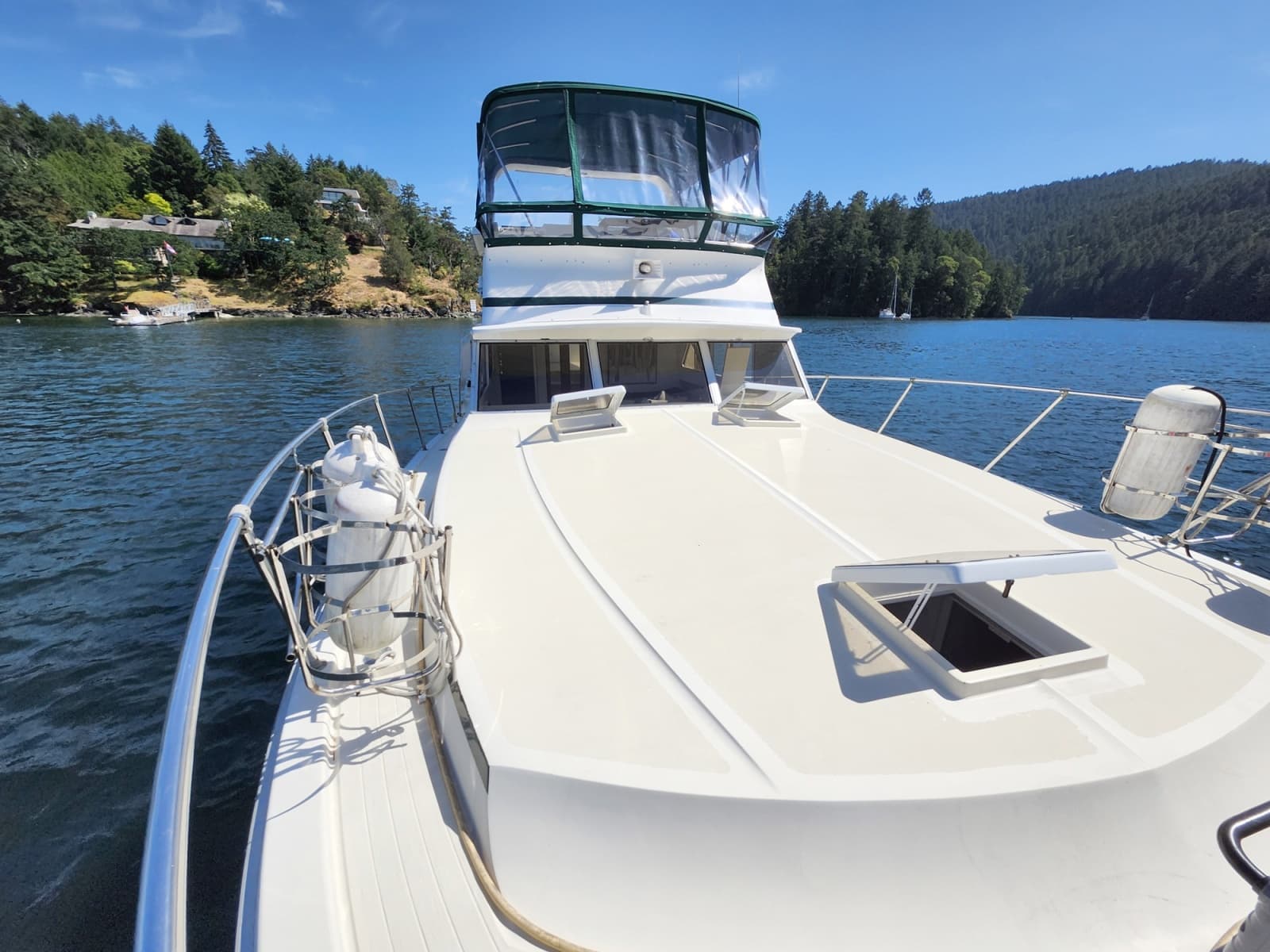 1977 Viking 43 - Photo 7