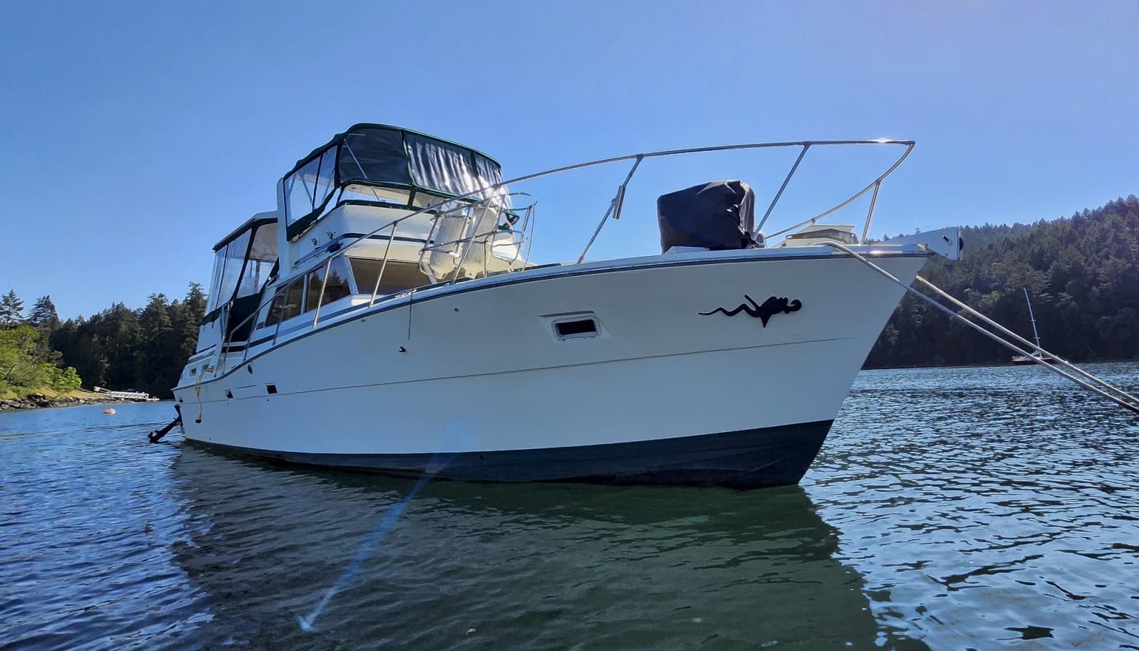 1977 Viking 43 - Photo 5